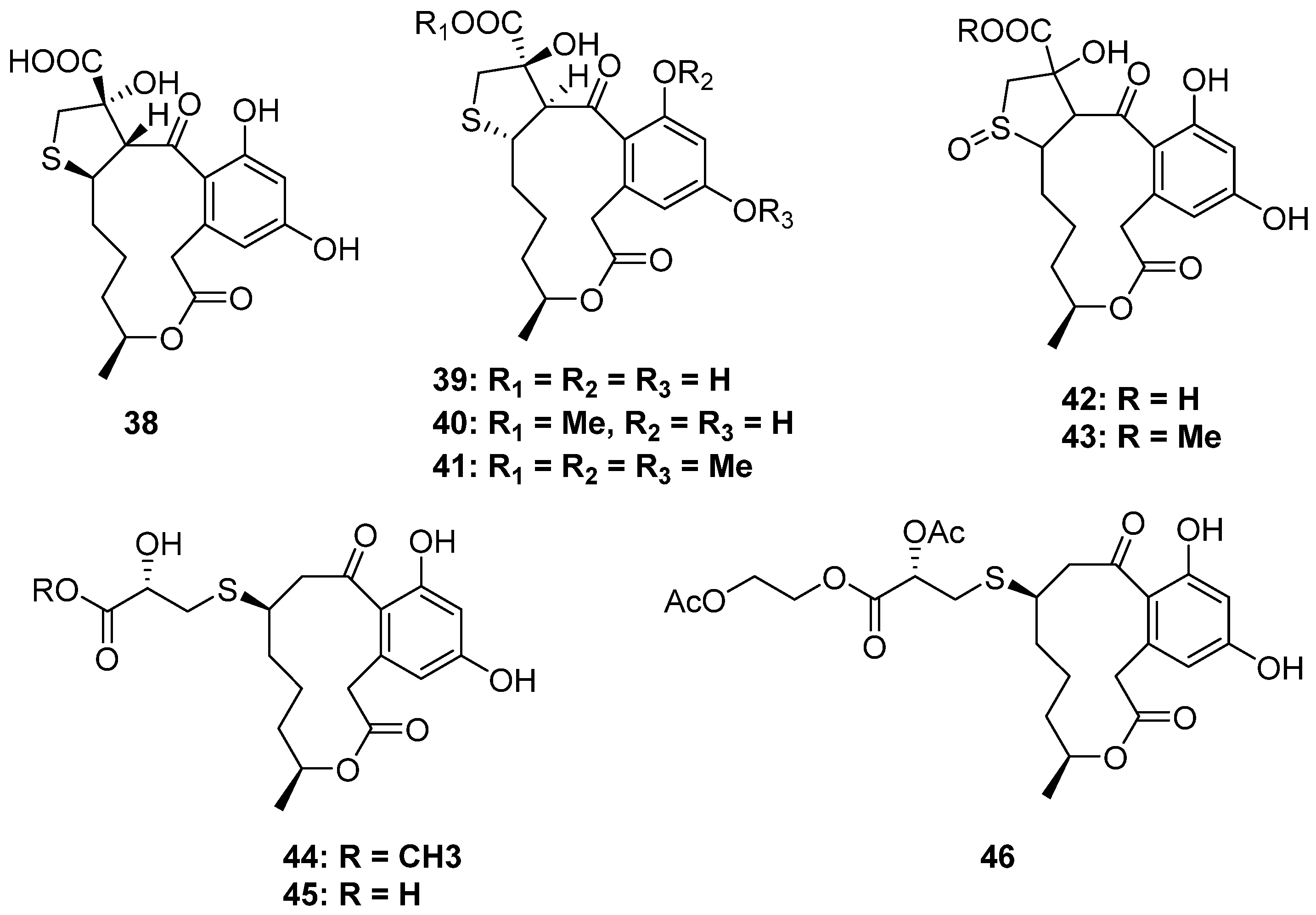 Marinedrugs 20 00765 g007