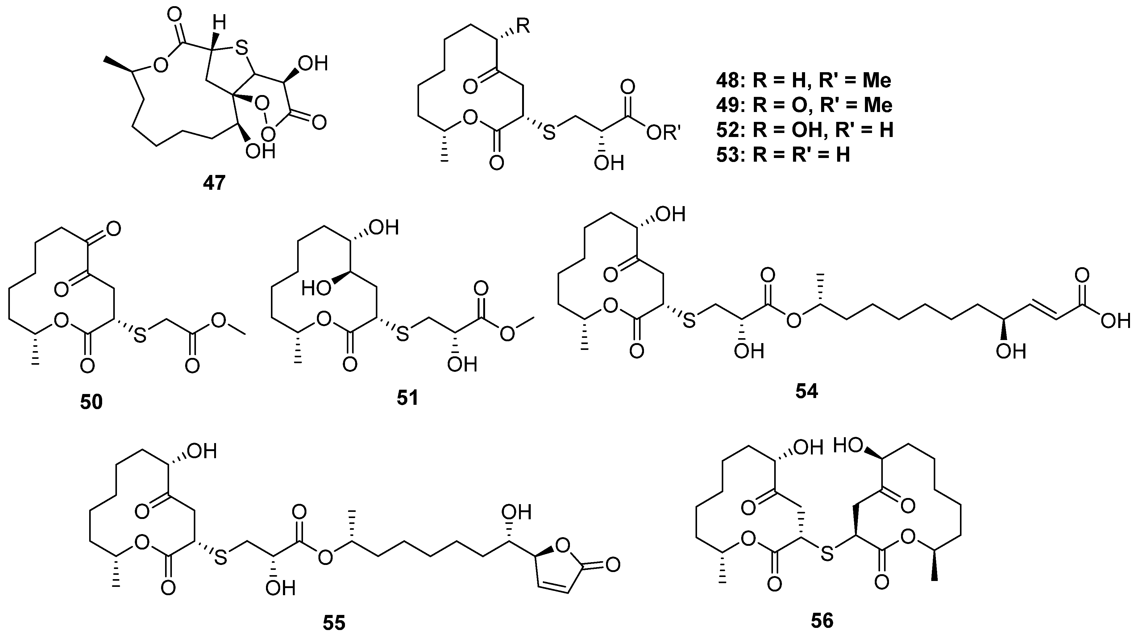 Marinedrugs 20 00765 g008