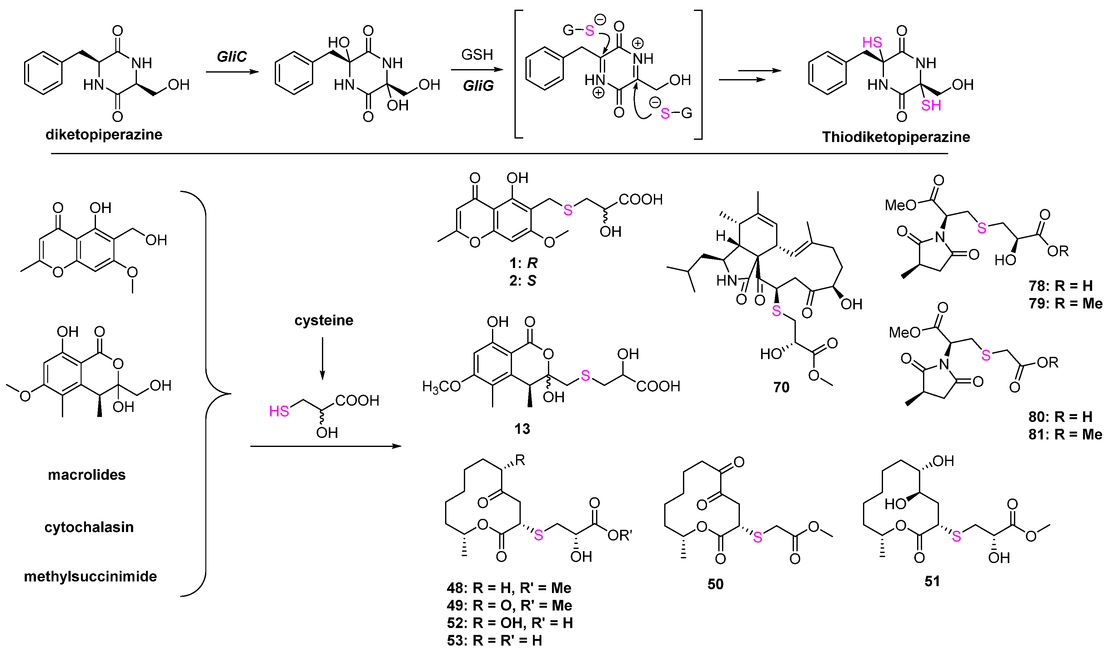 Marinedrugs 20 00765 g020