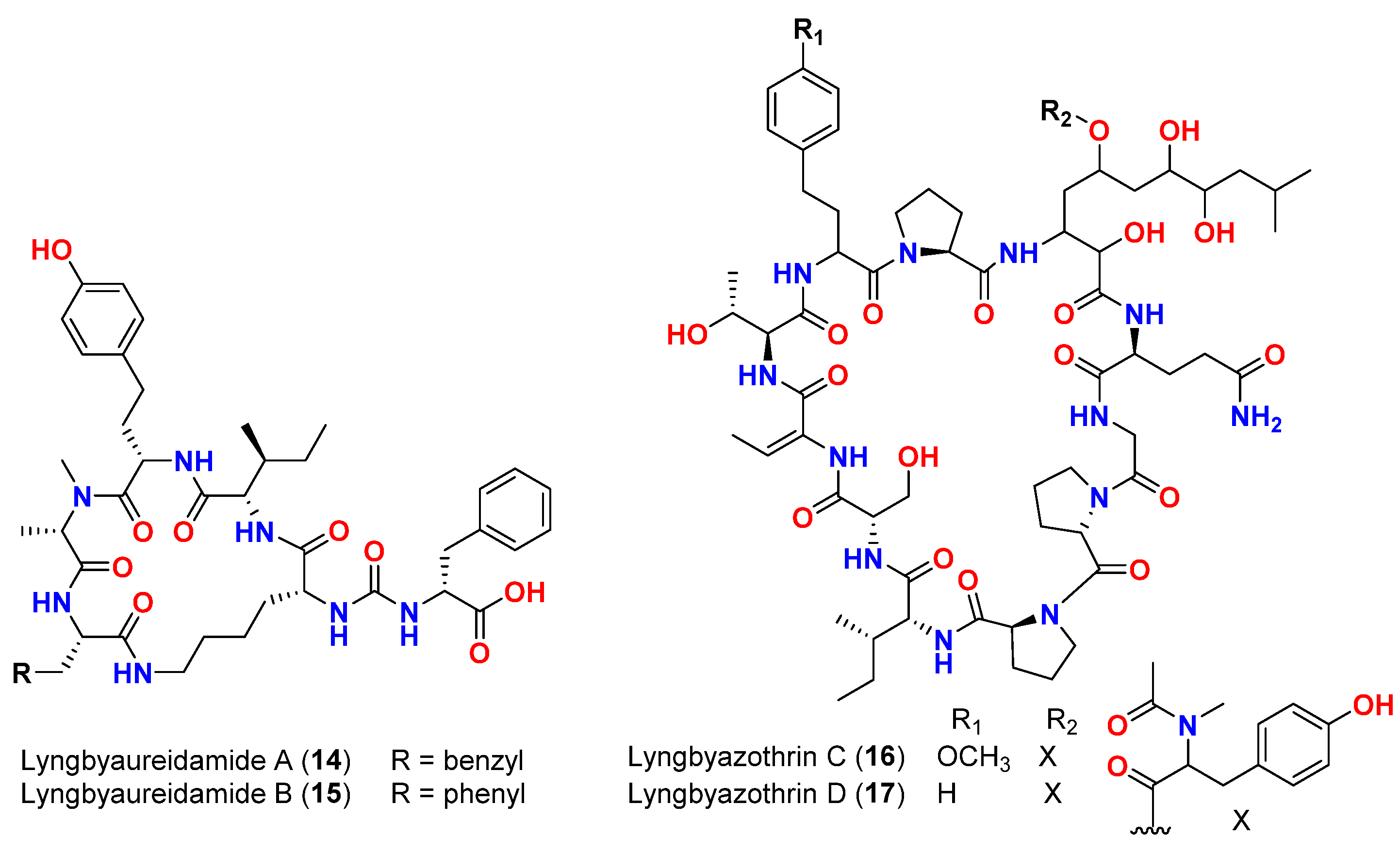 Marinedrugs 20 00768 g007