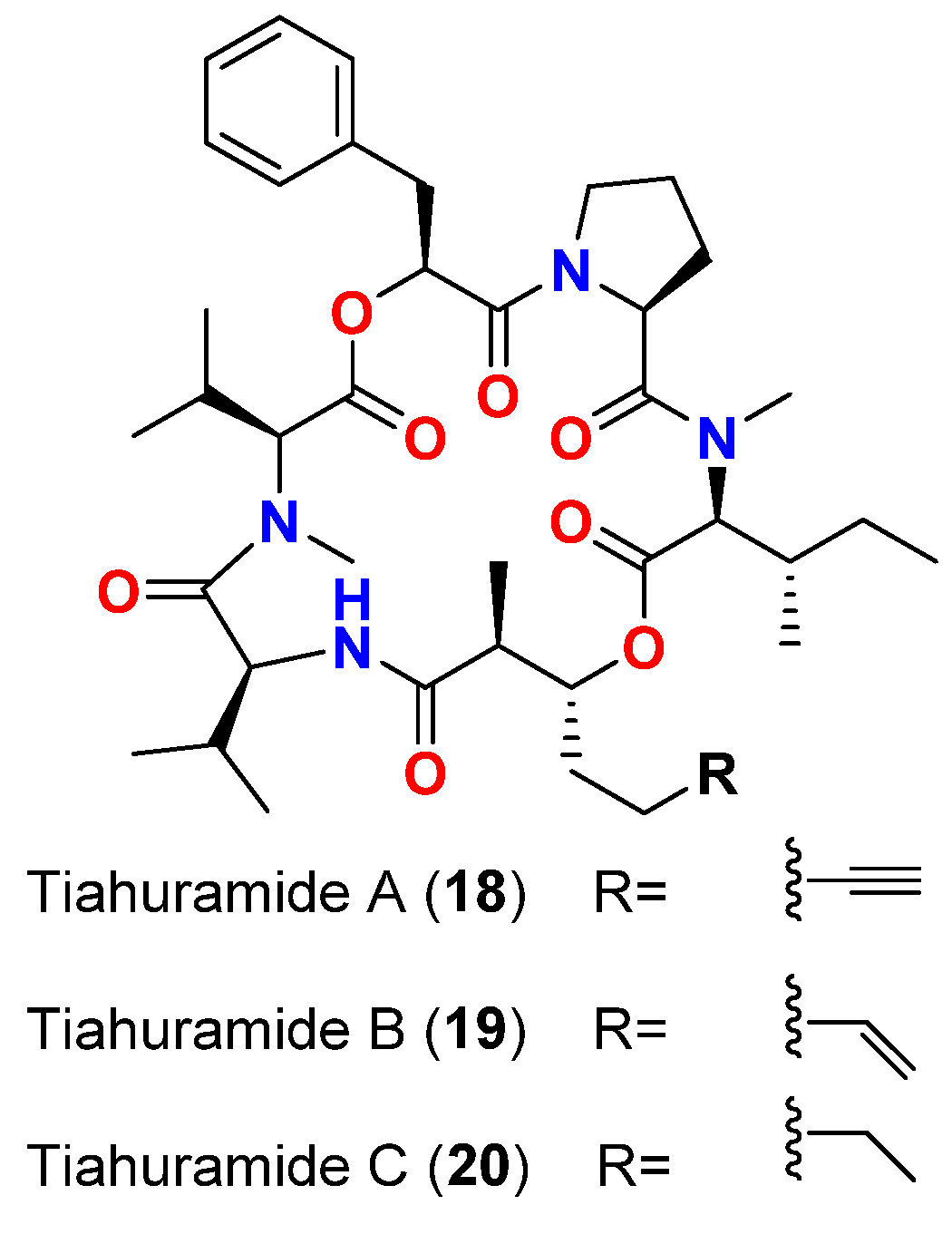 Marinedrugs 20 00768 g008