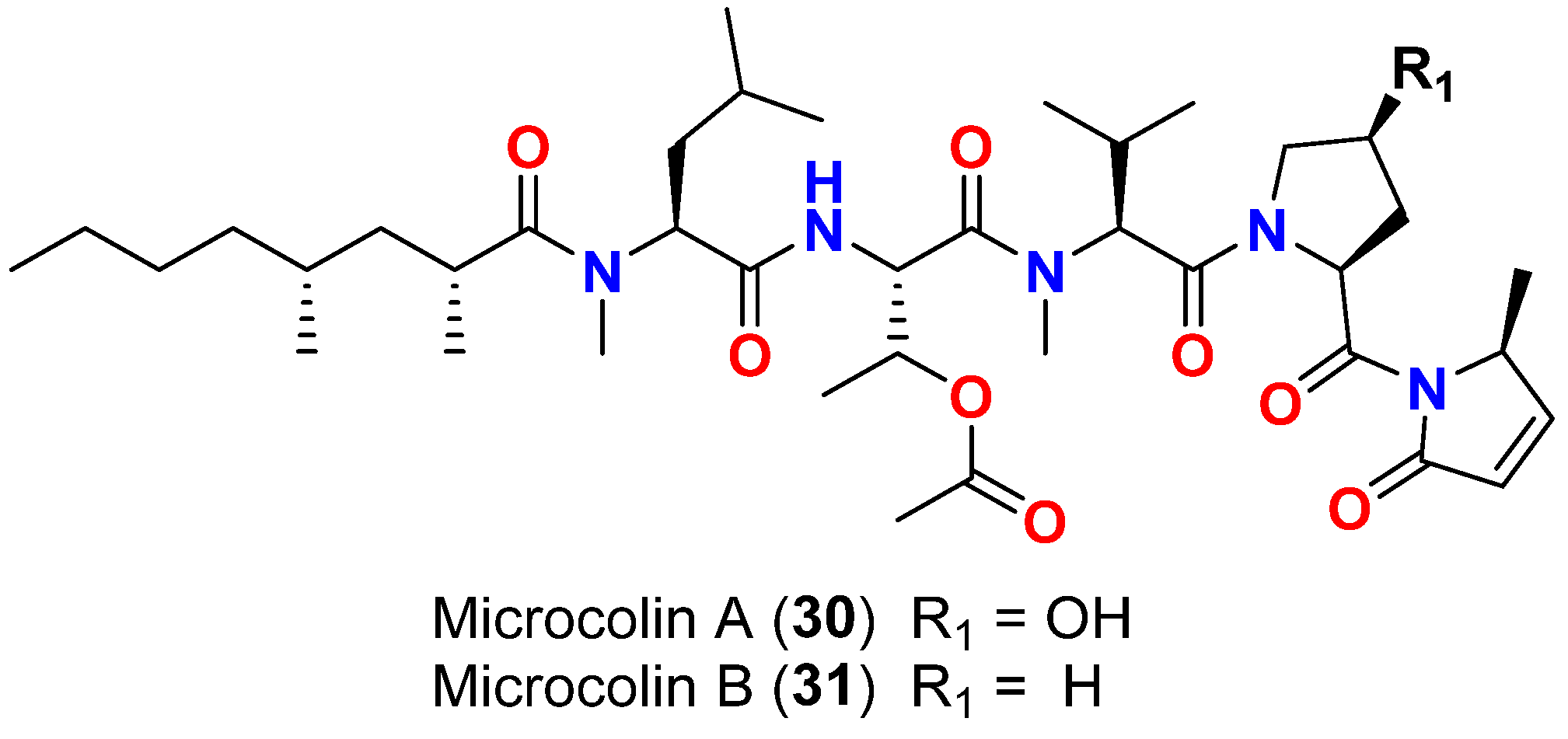 Marinedrugs 20 00768 g013