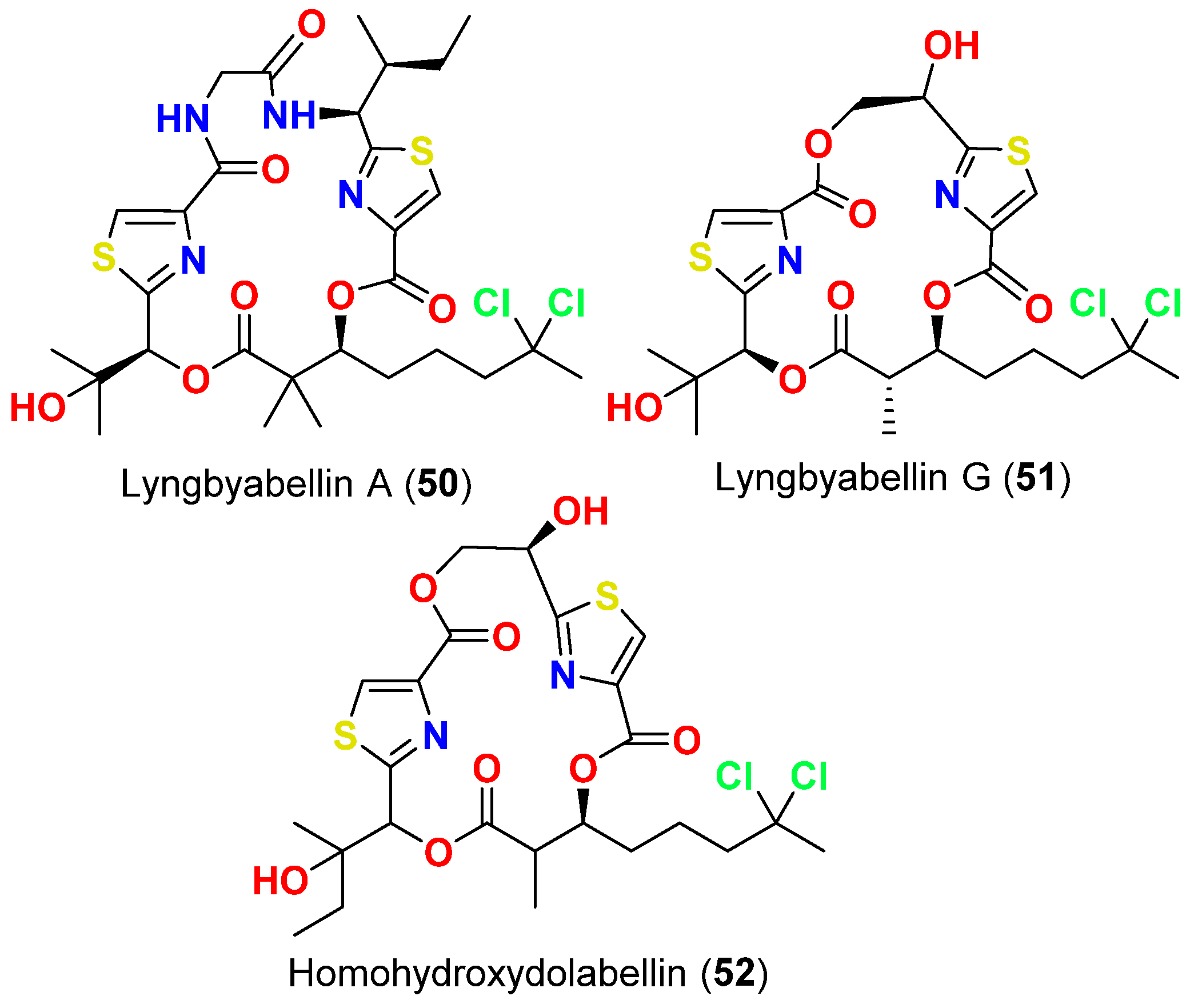 Marinedrugs 20 00768 g022