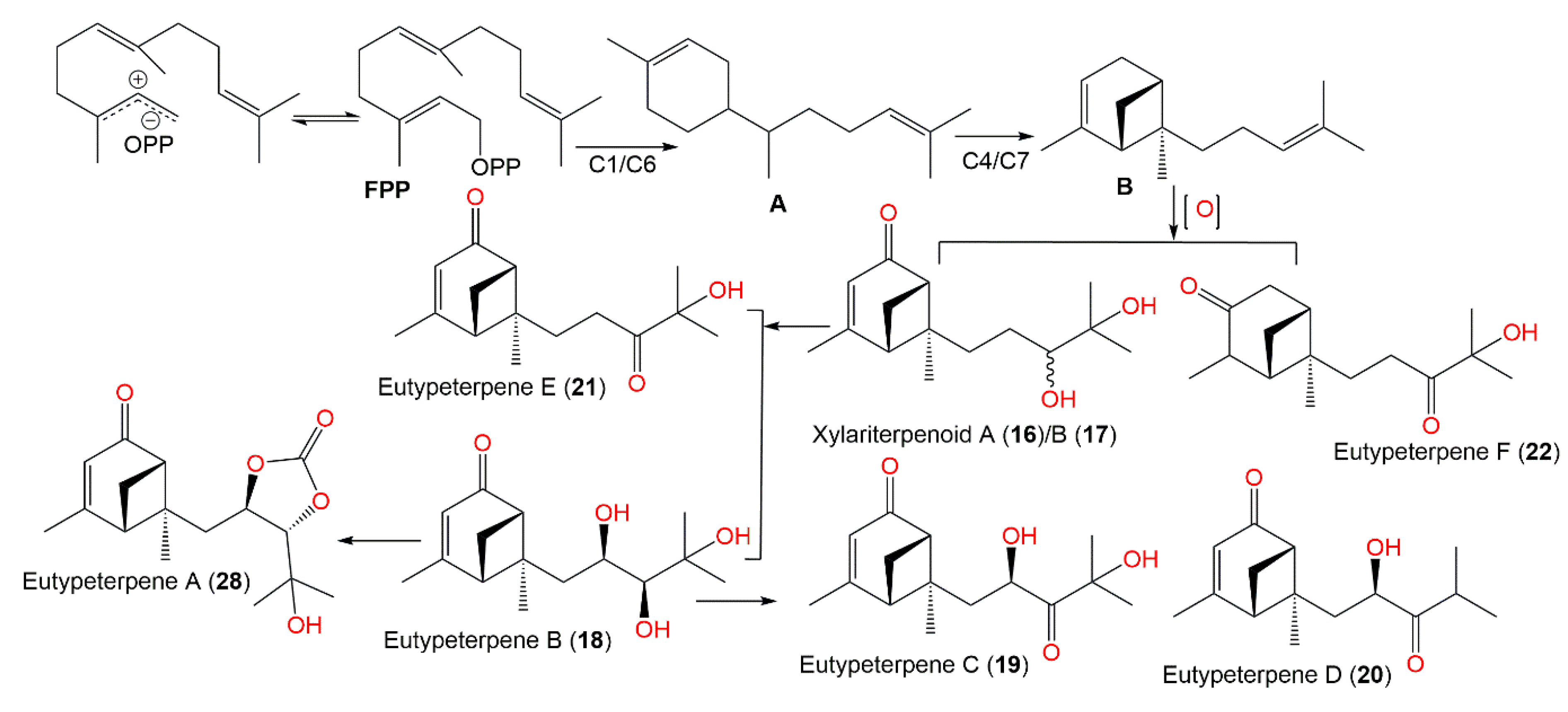Marinedrugs 20 00771 sch001 Marinedrugs 20 00771 sch001