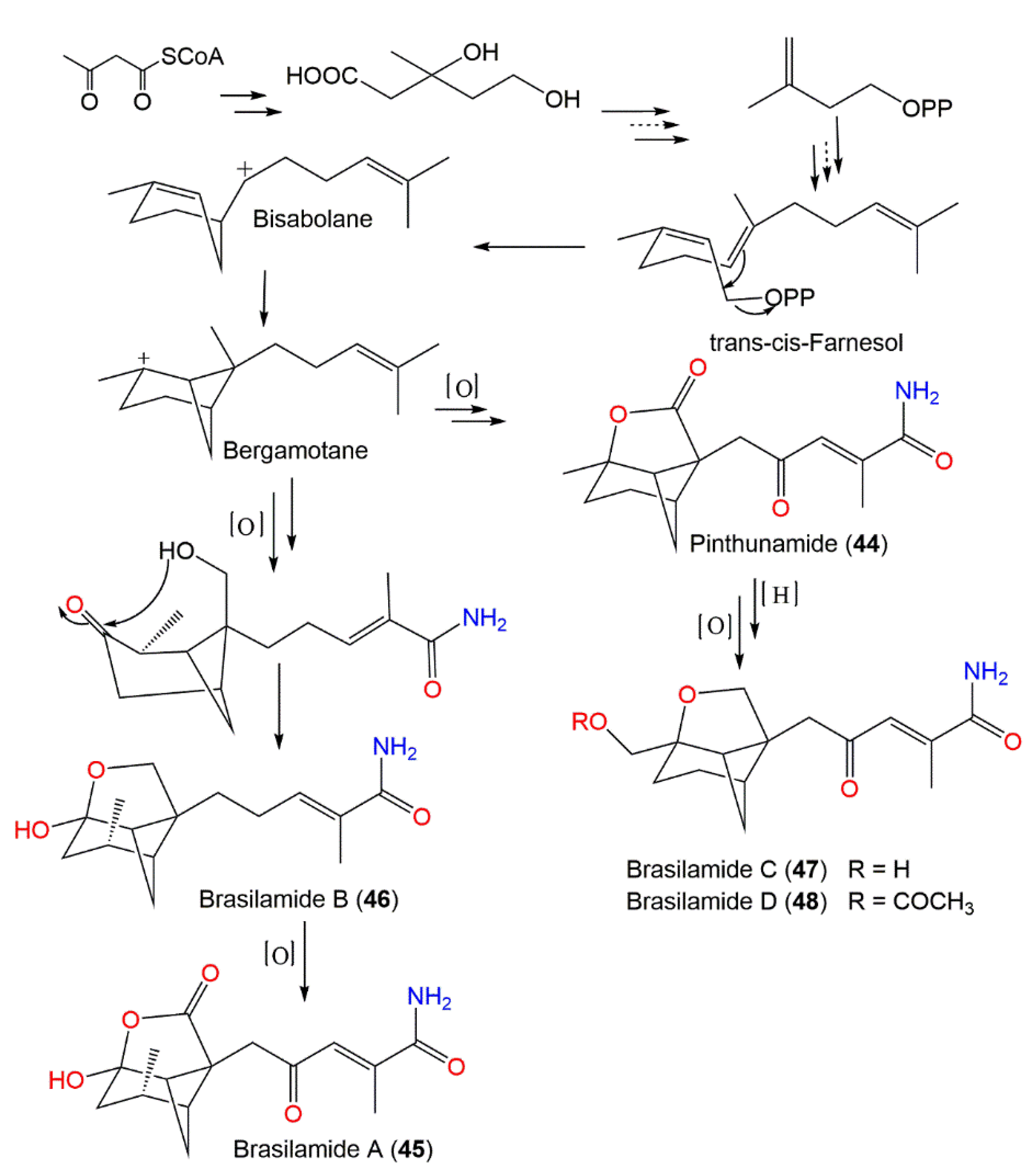 Marinedrugs 20 00771 sch002 Marinedrugs 20 00771 sch002