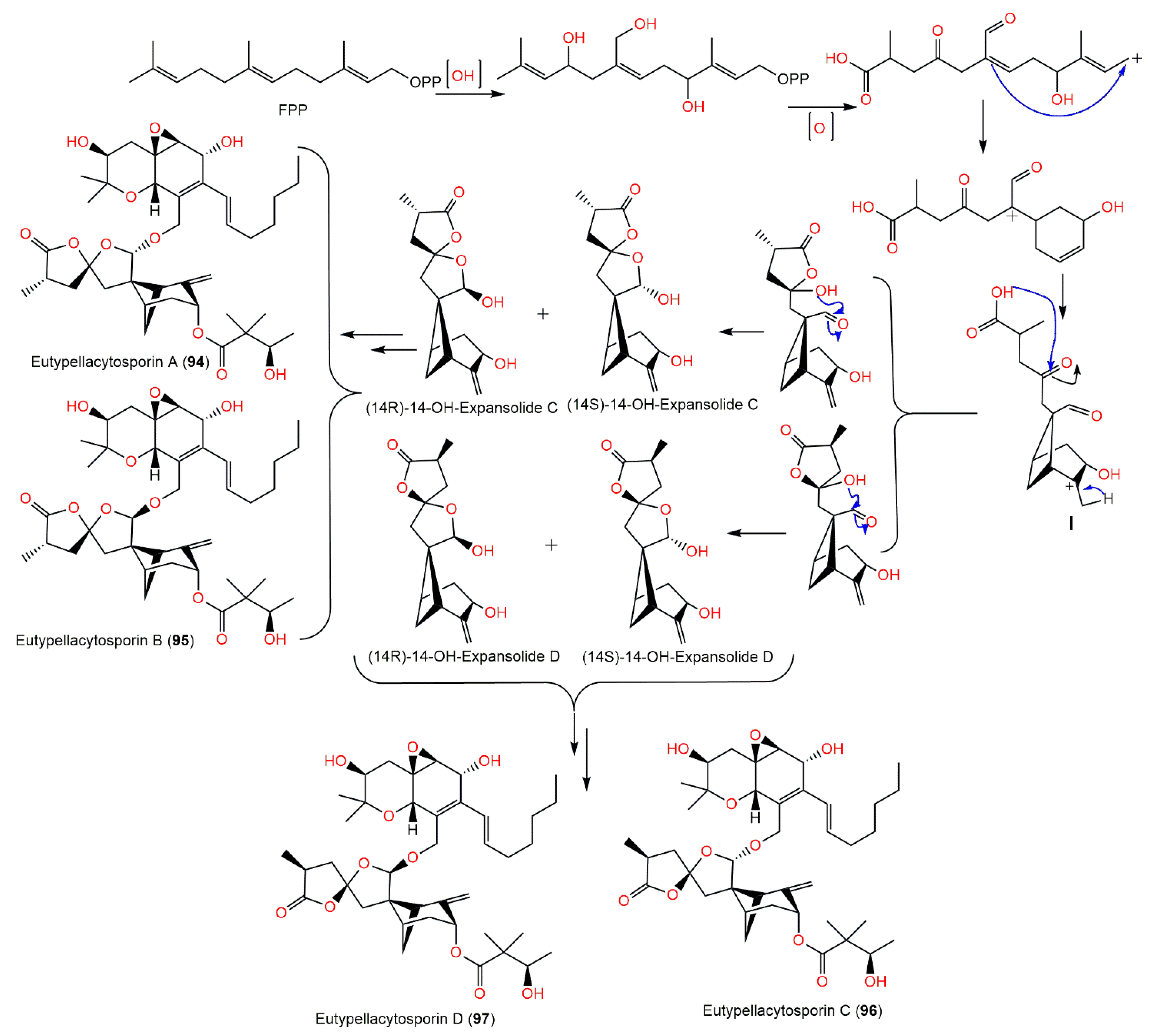 Marinedrugs 20 00771 sch006 Marinedrugs 20 00771 sch006