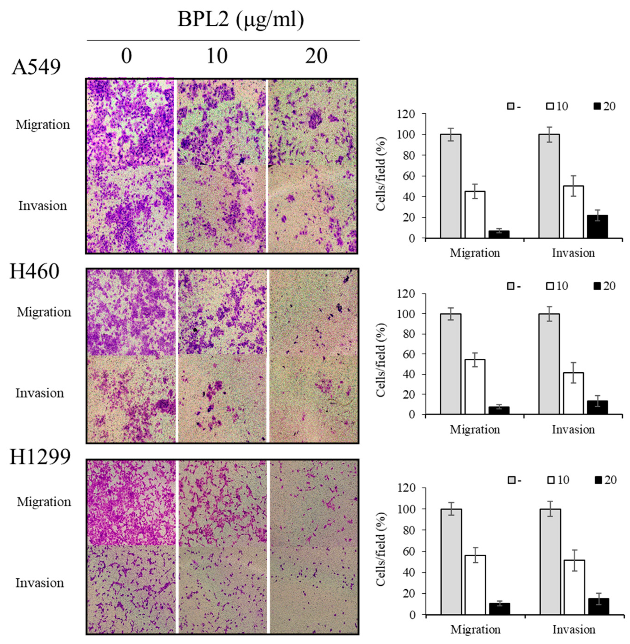 Marinedrugs 20 00776 g004 Marinedrugs 20 00776 g004