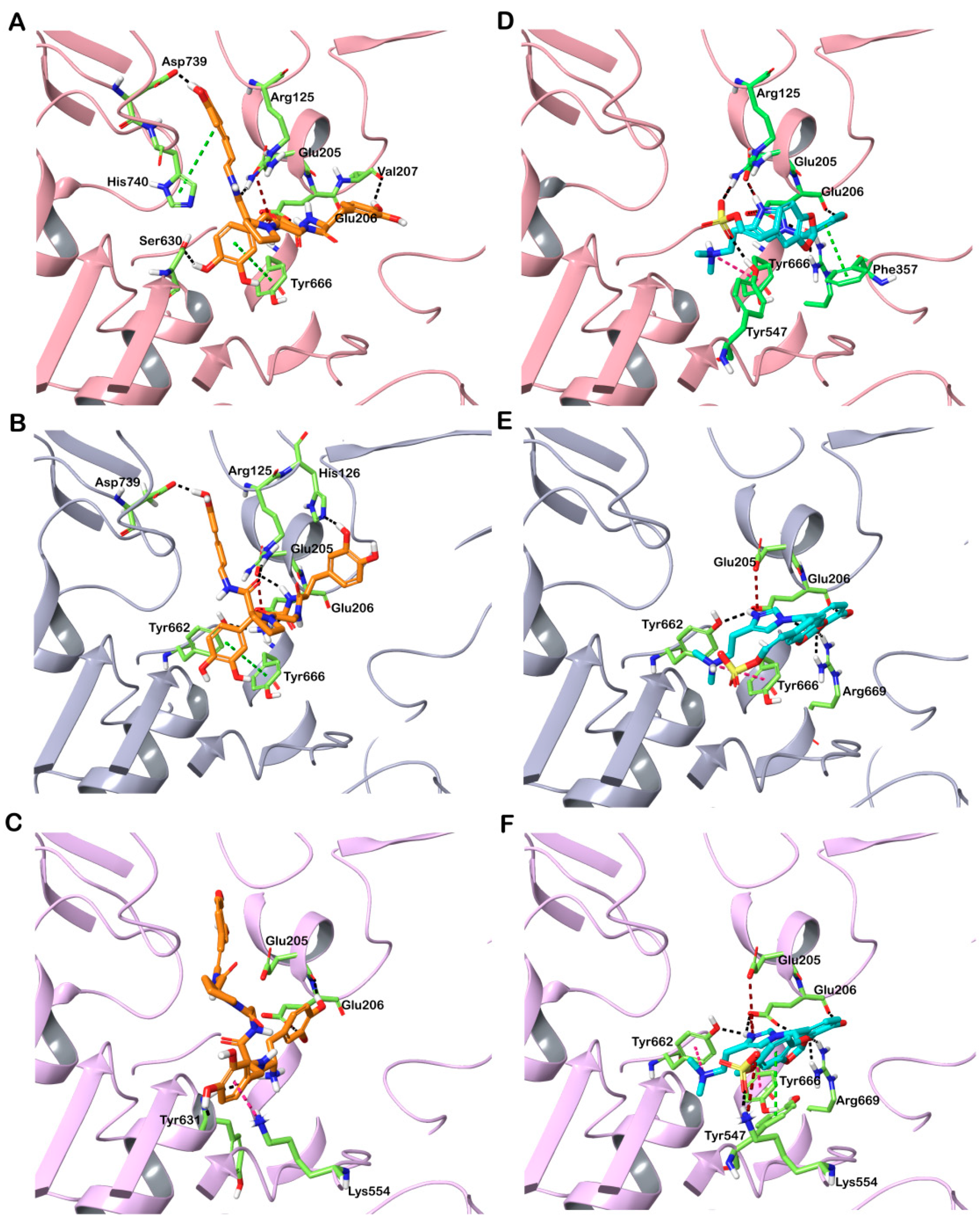 Marinedrugs 20 00777 g002 Marinedrugs 20 00777 g002