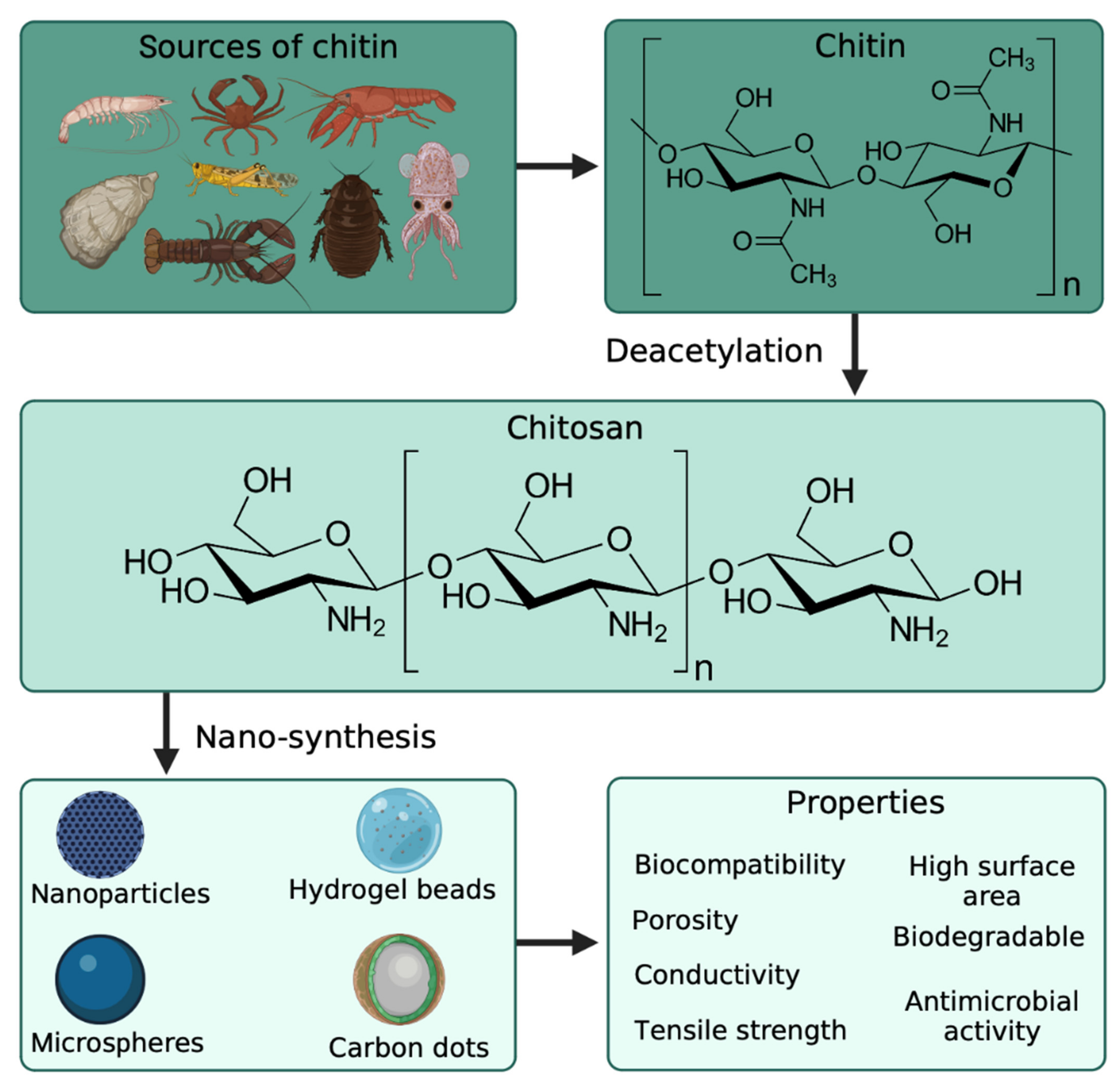 Marinedrugs 20 00782 g002