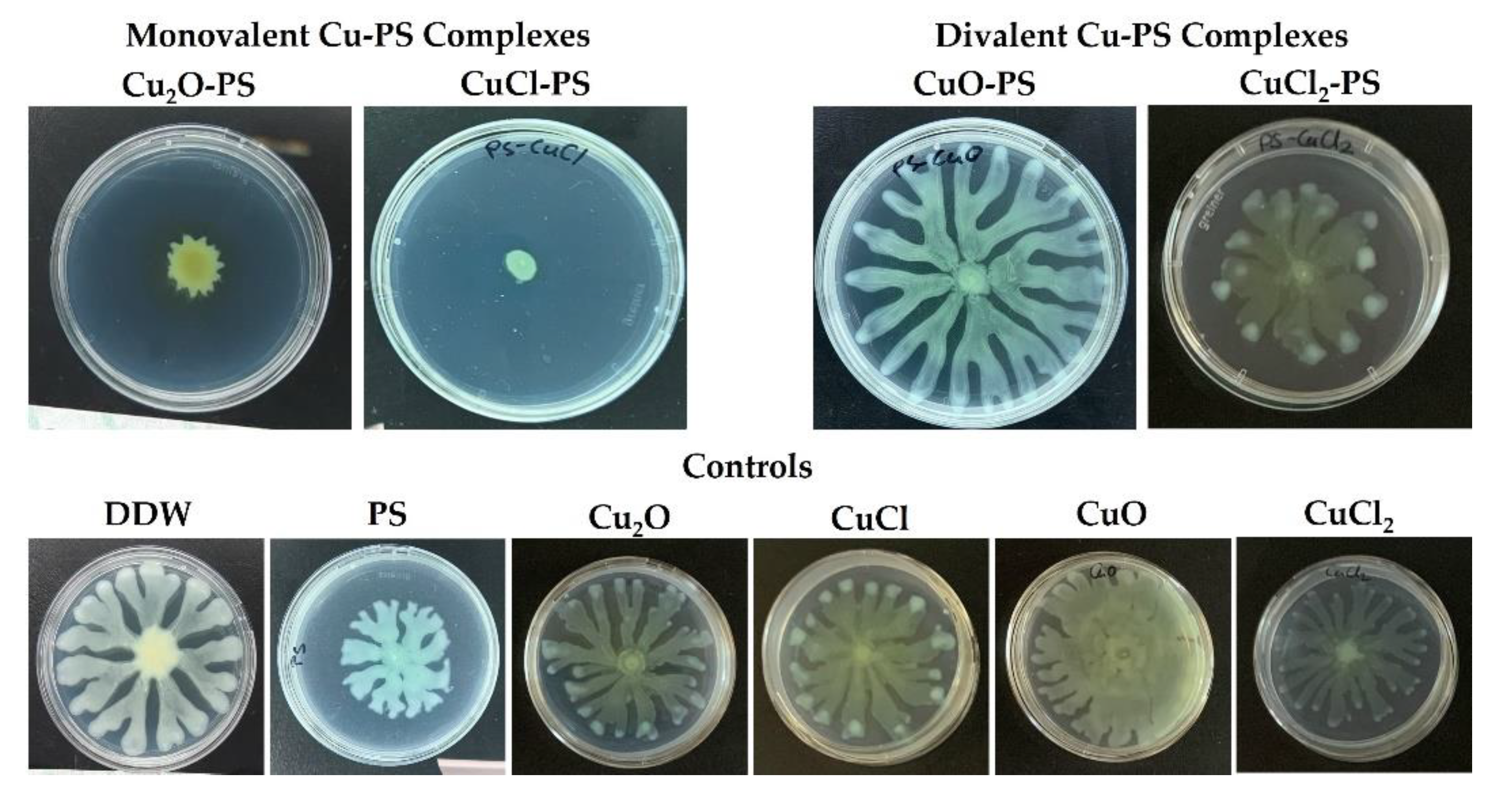 Marinedrugs 20 00787 g004