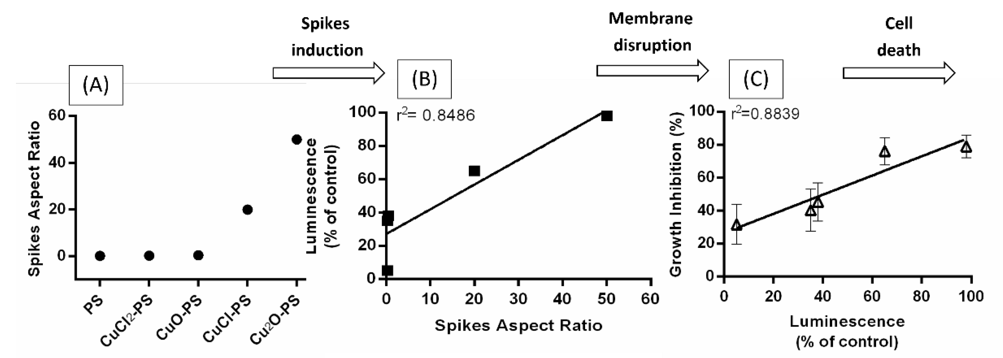 Marinedrugs 20 00787 g009