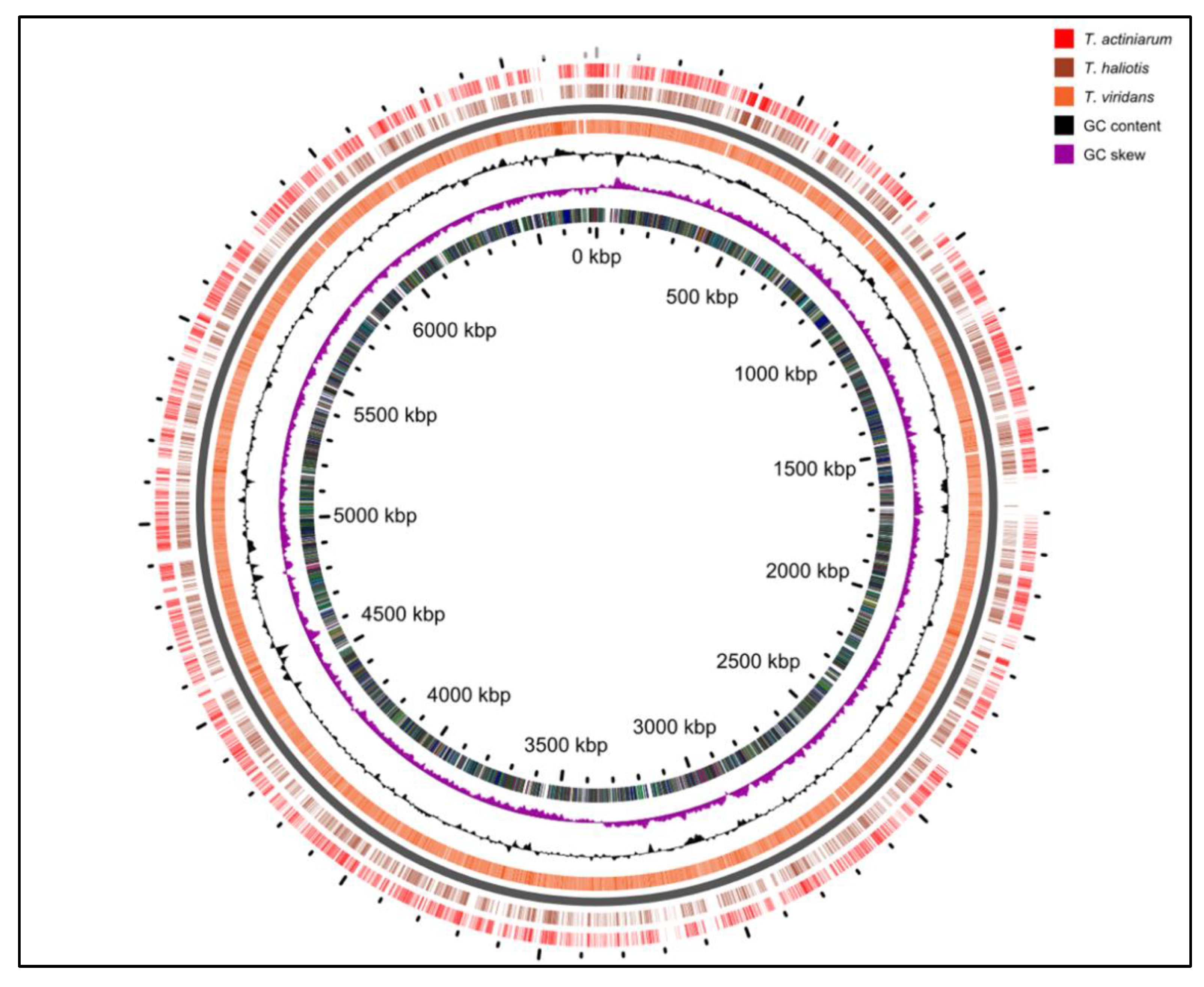 Marinedrugs 21 00002 g003 Marinedrugs 21 00002 g003