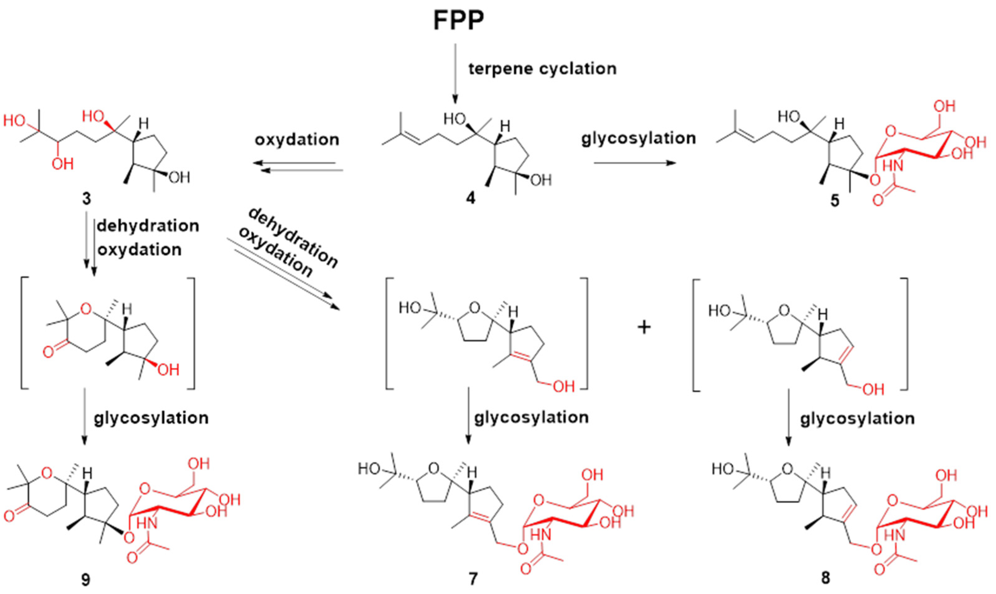 Marinedrugs 21 00007 g004 Marinedrugs 21 00007 g004