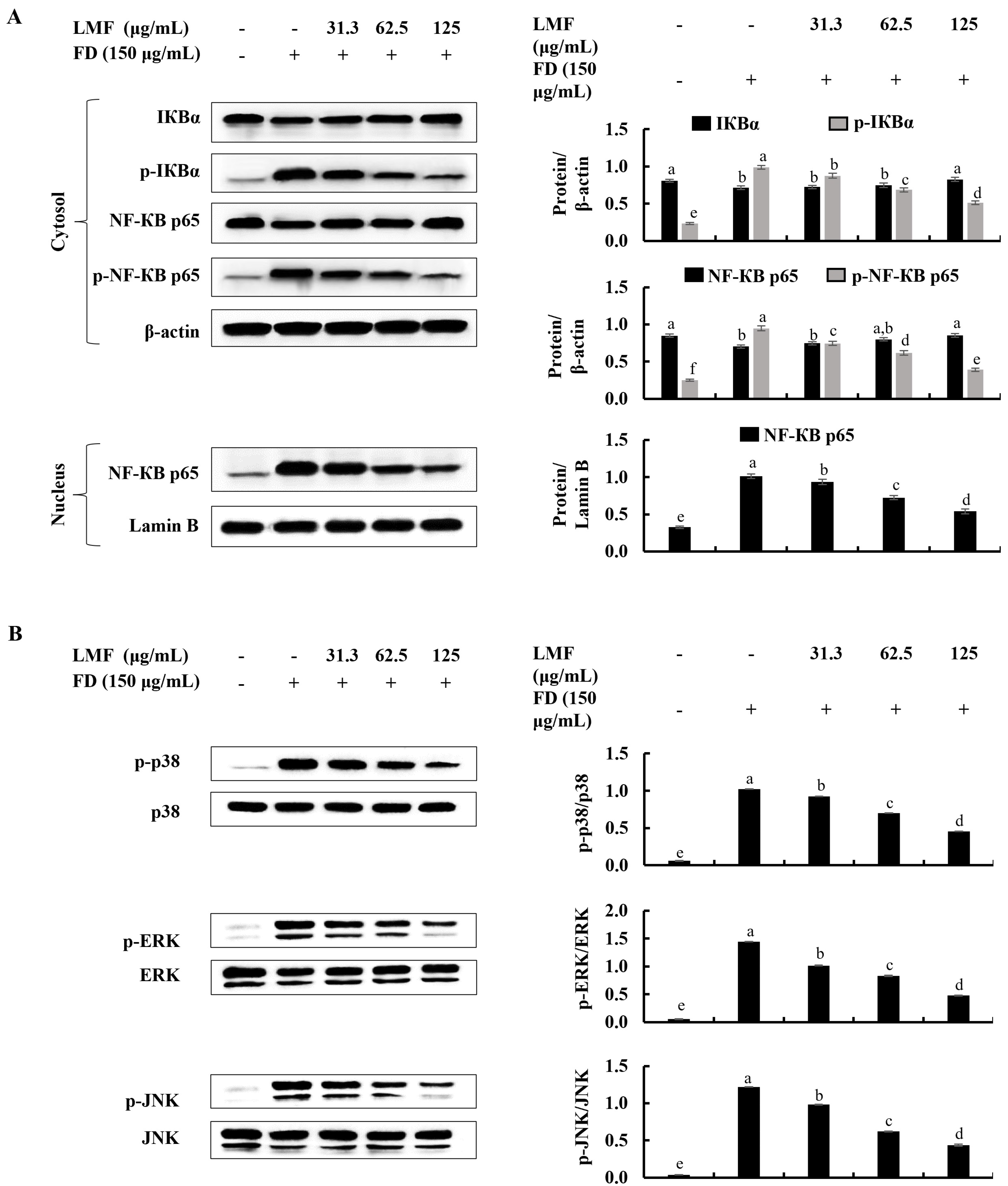 Marinedrugs 21 00012 g003 Marinedrugs 21 00012 g003