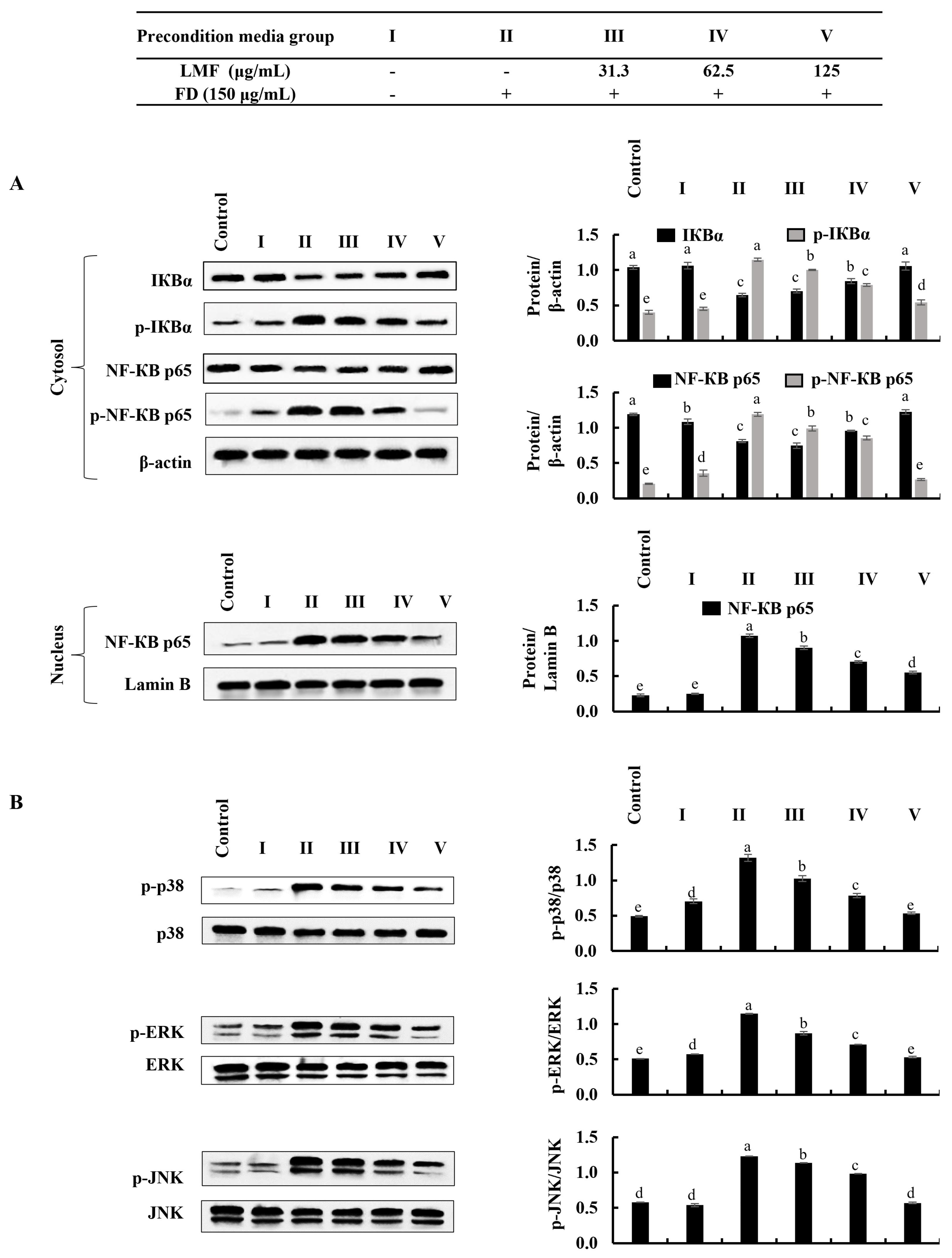 Marinedrugs 21 00012 g004 Marinedrugs 21 00012 g004