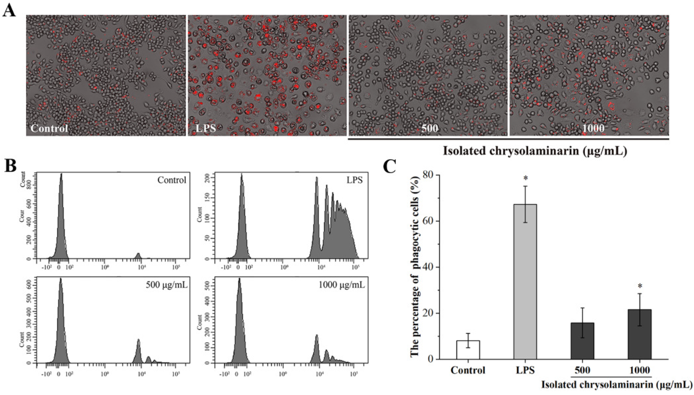 Marinedrugs 21 00013 g005