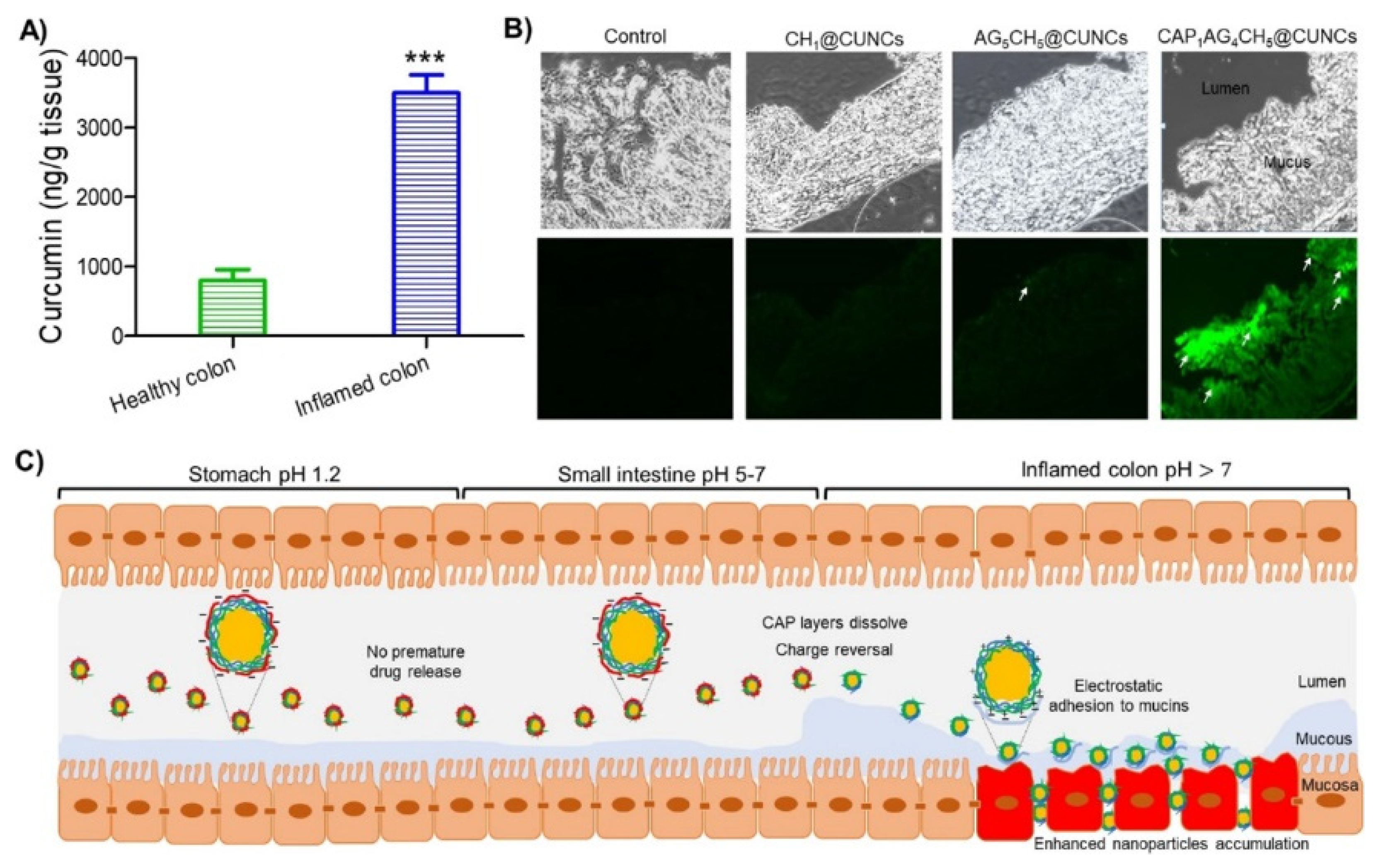 Marinedrugs 21 00014 g001 Marinedrugs 21 00014 g001