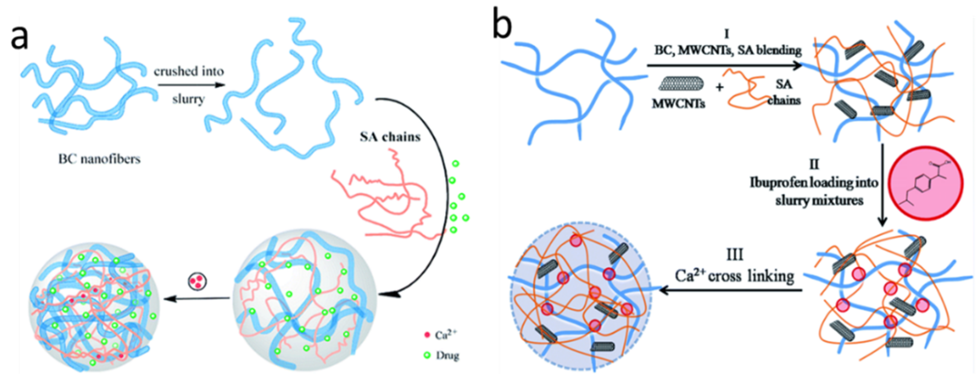 Marinedrugs 21 00014 g003 Marinedrugs 21 00014 g003