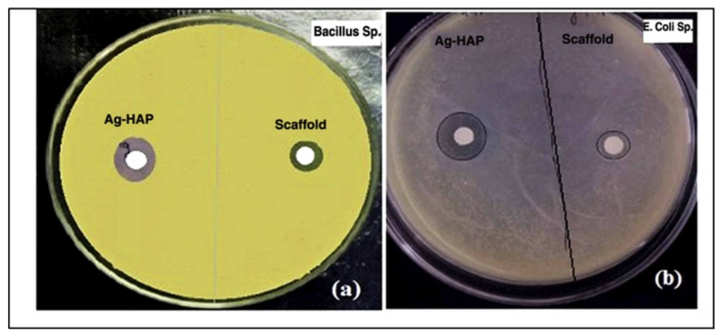 Marinedrugs 21 00014 g005 Marinedrugs 21 00014 g005