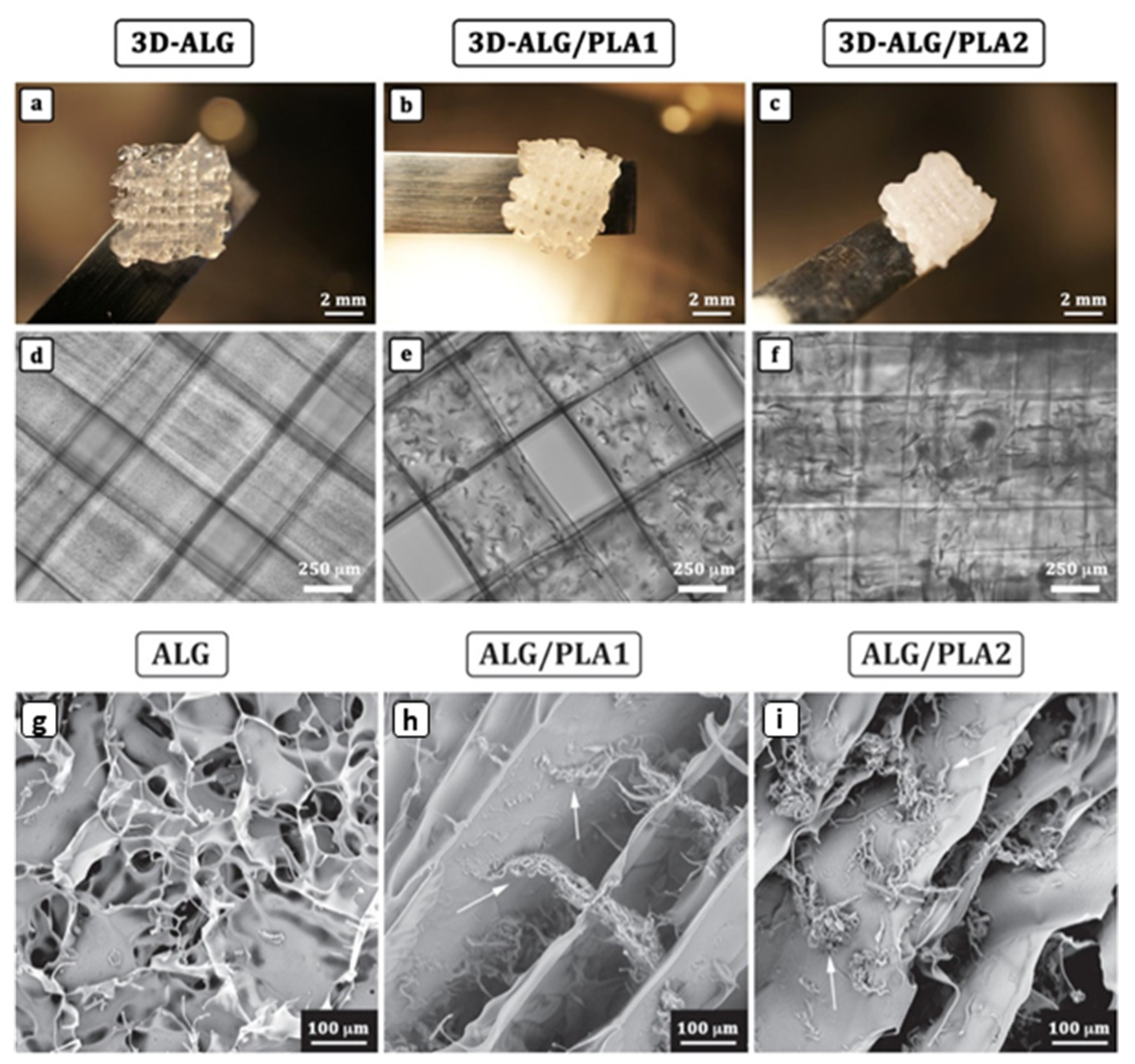 Marinedrugs 21 00014 g006 Marinedrugs 21 00014 g006