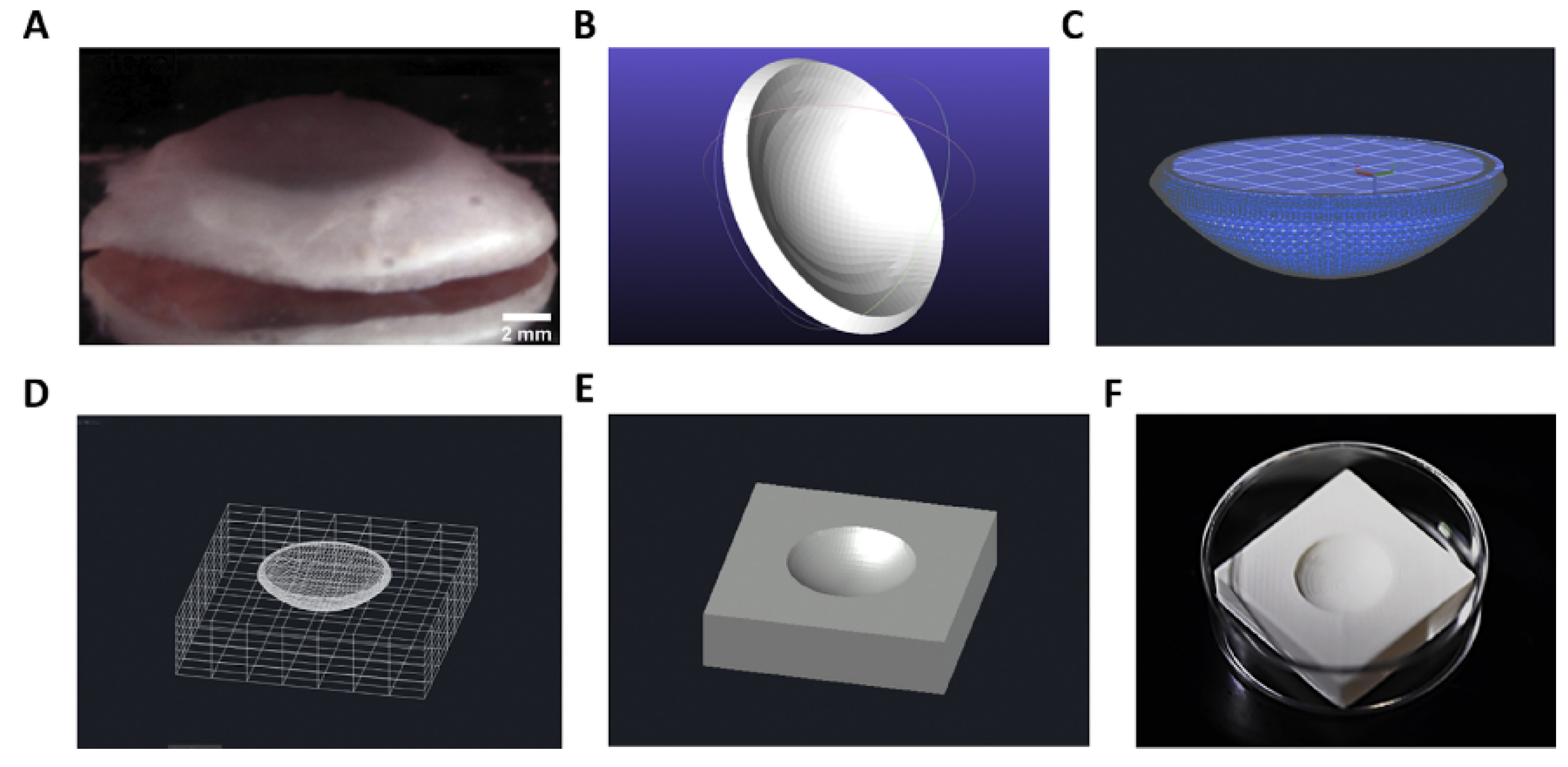 Marinedrugs 21 00014 g007 Marinedrugs 21 00014 g007