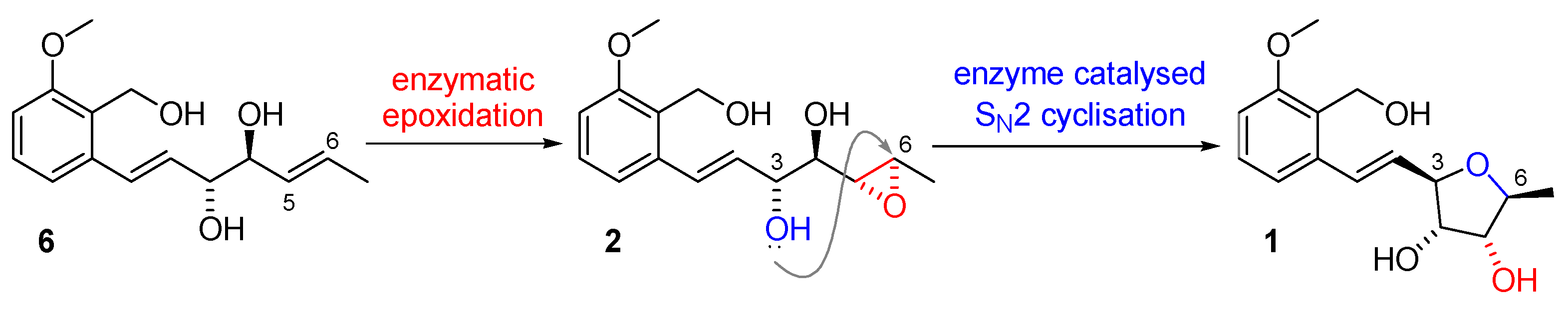 Marinedrugs 21 00019 sch001