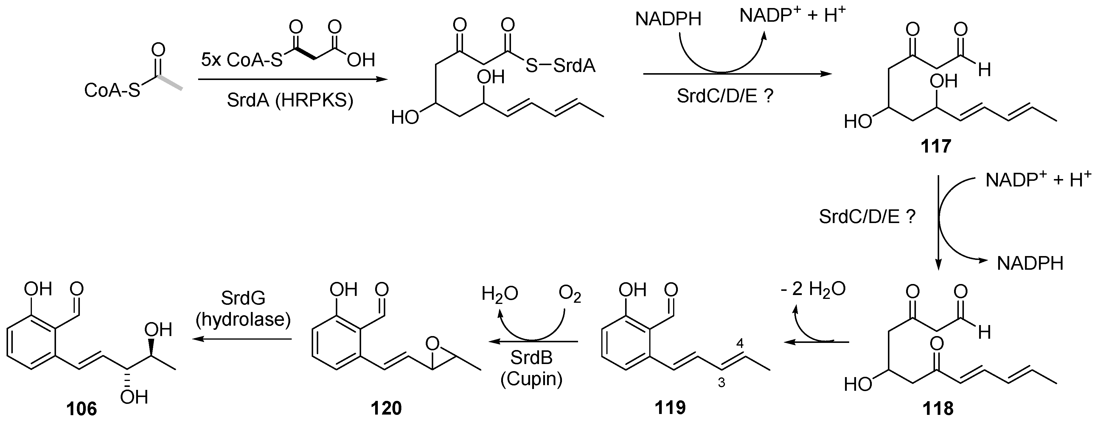 Marinedrugs 21 00019 sch014