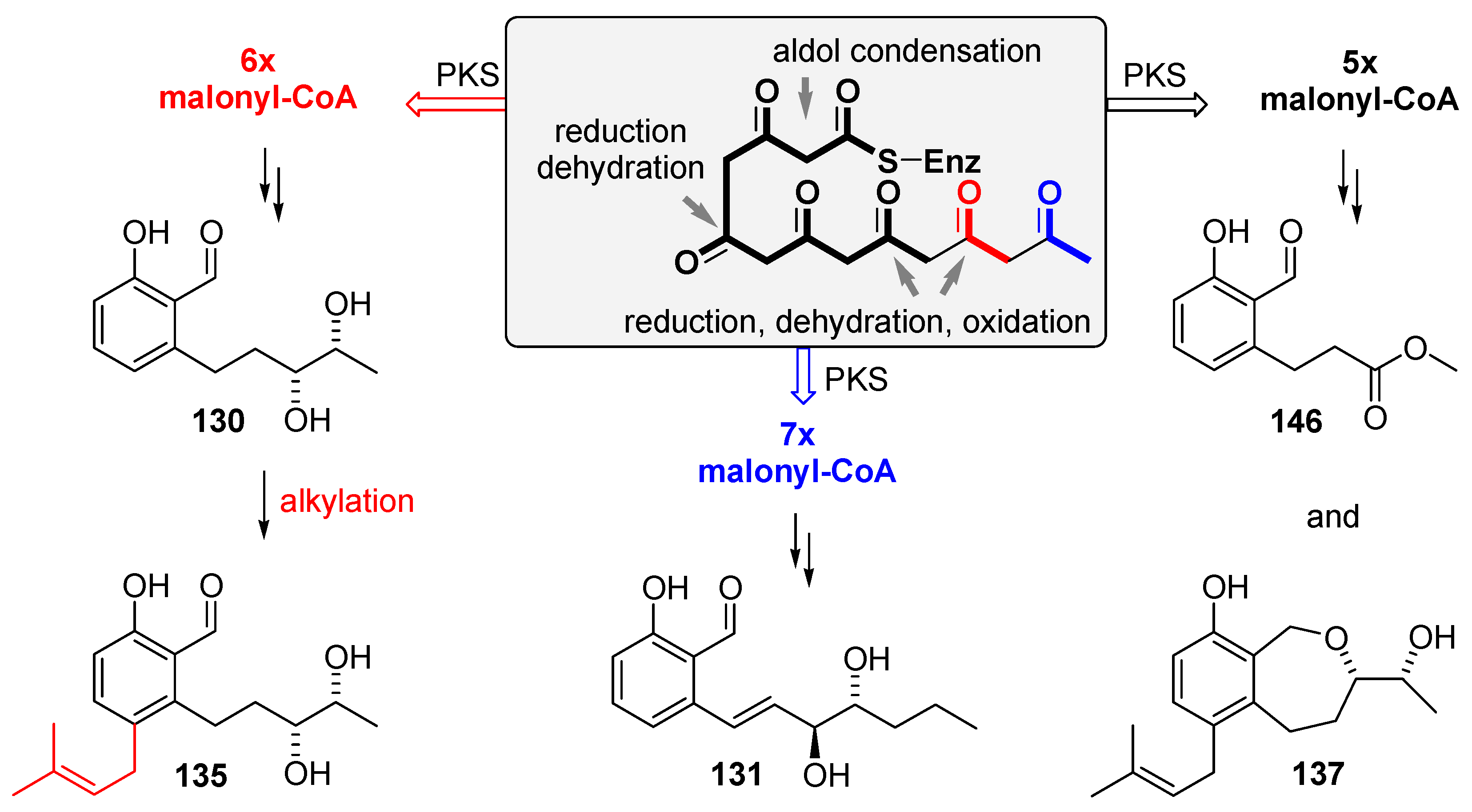 Marinedrugs 21 00019 sch015