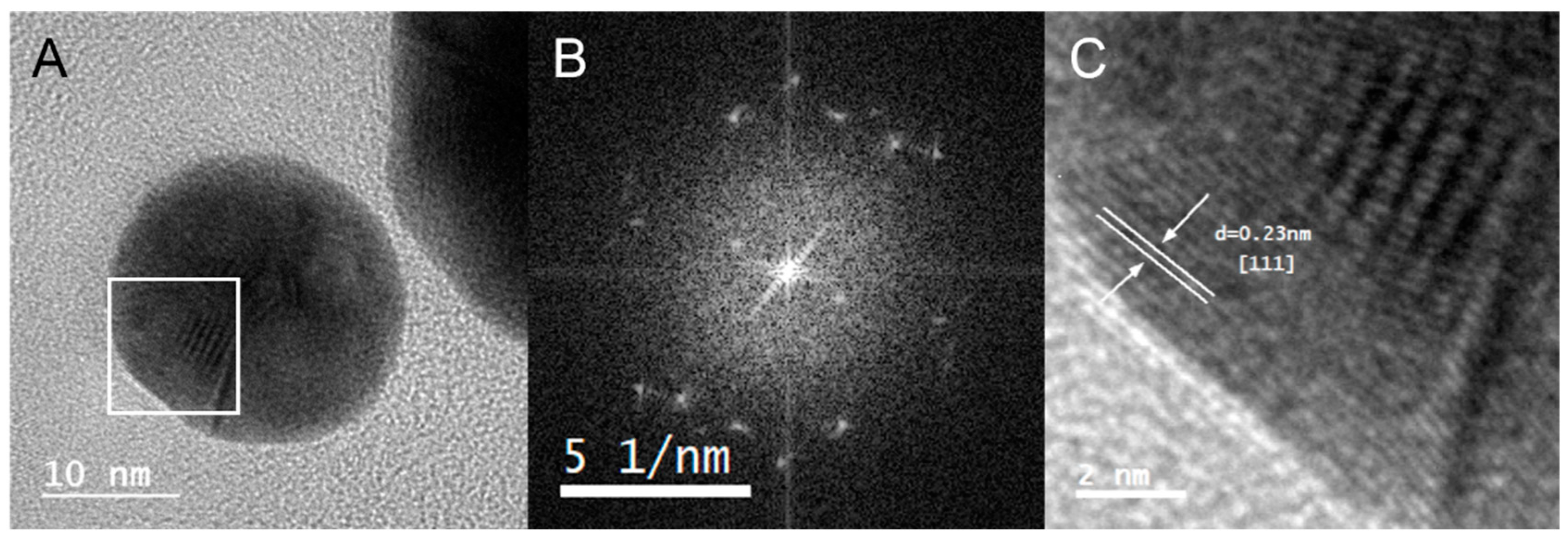 Marinedrugs 21 00020 g005