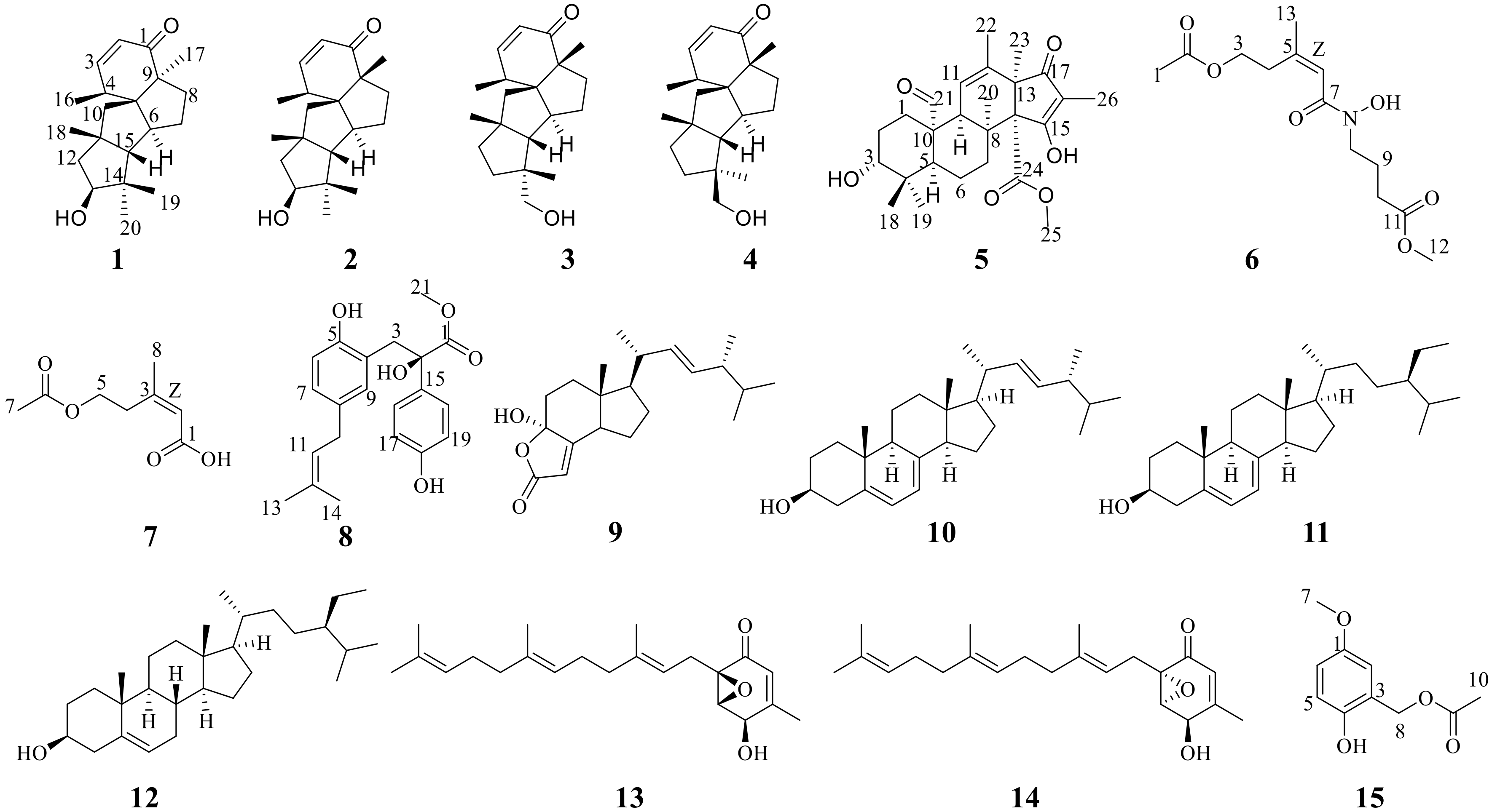Marinedrugs 21 00022 g001 Marinedrugs 21 00022 g001