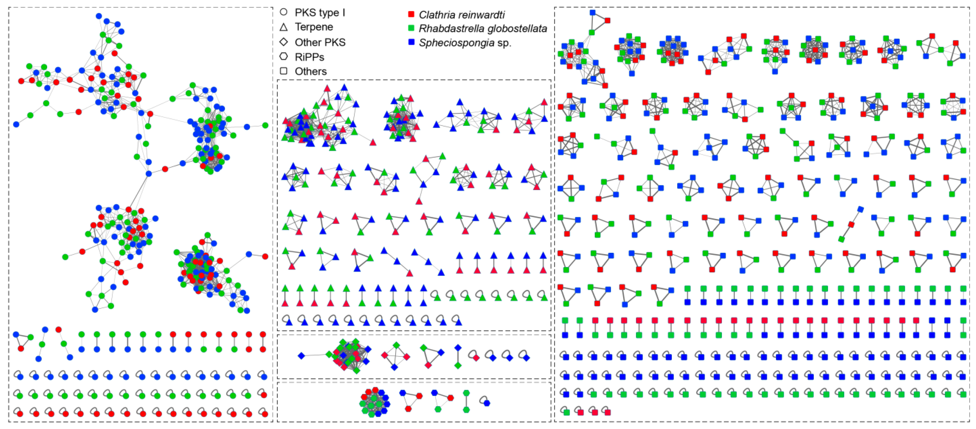 Plant biosynthetic gene clusters in the context of metabolic