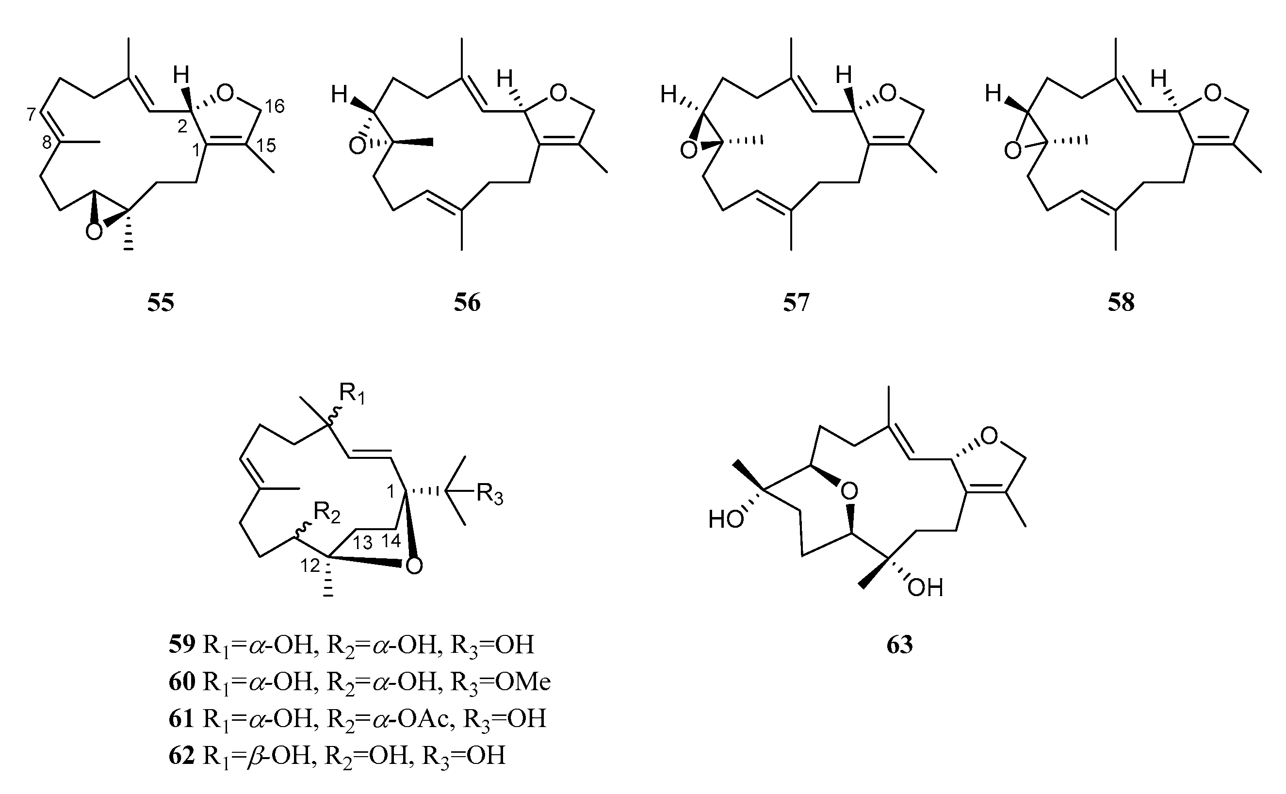 Marinedrugs 21 00030 g006 Marinedrugs 21 00030 g006
