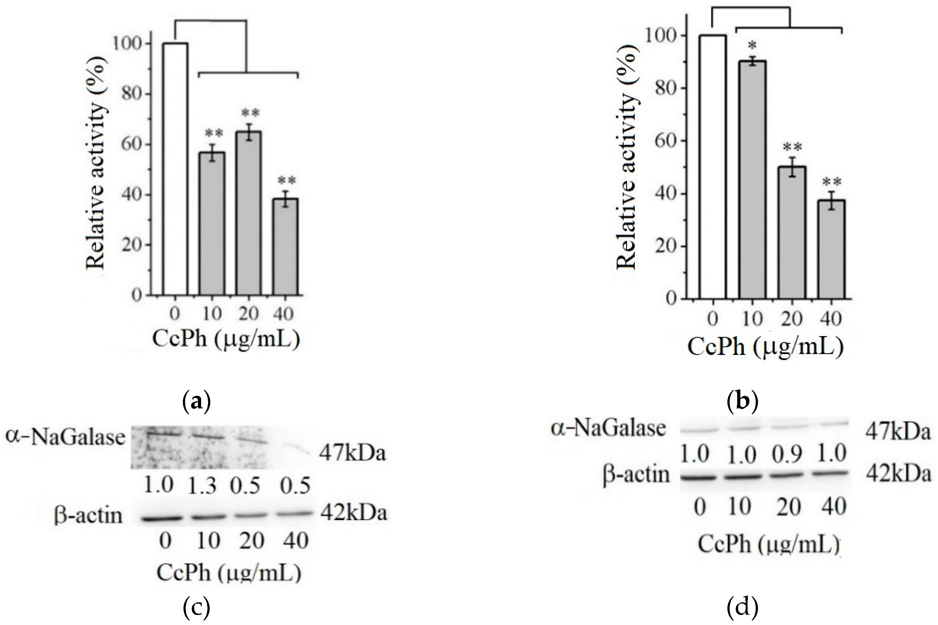 Marinedrugs 21 00033 g004 Marinedrugs 21 00033 g004