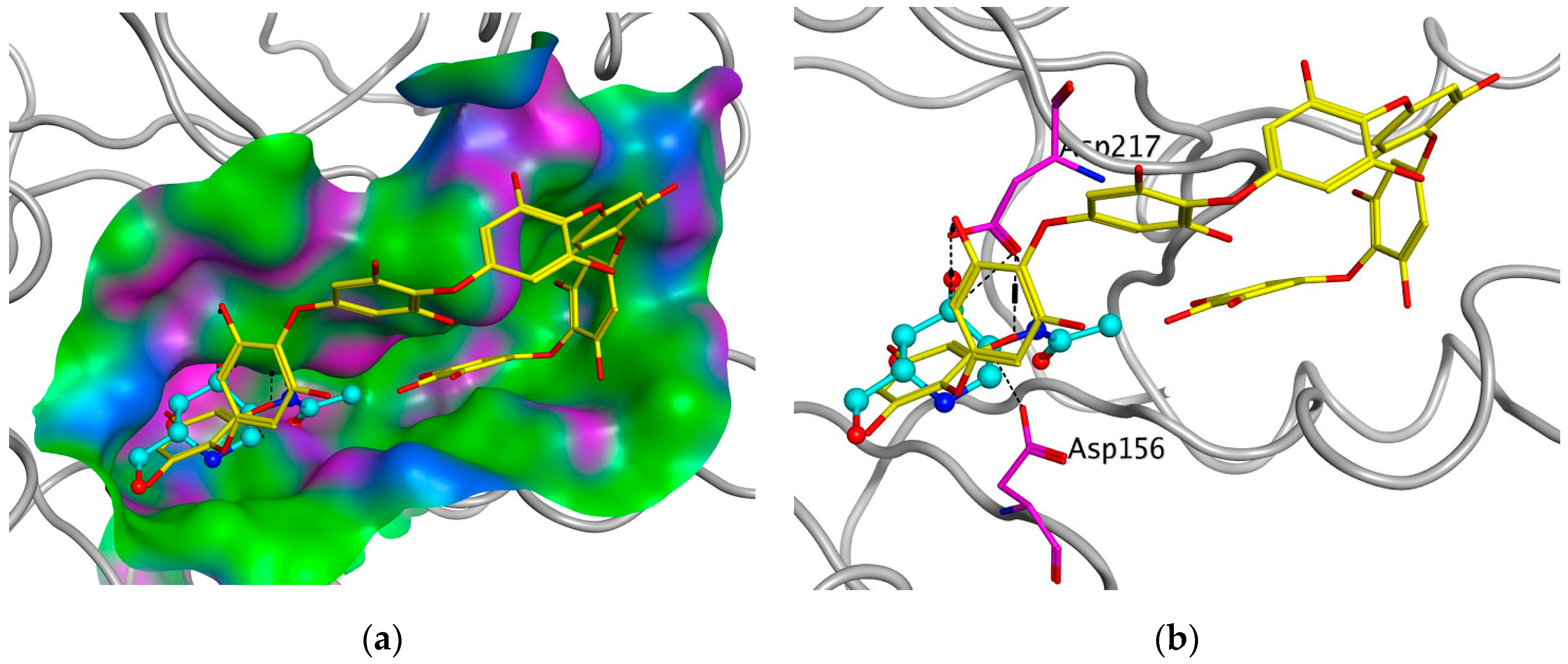 Marinedrugs 21 00033 g007 Marinedrugs 21 00033 g007