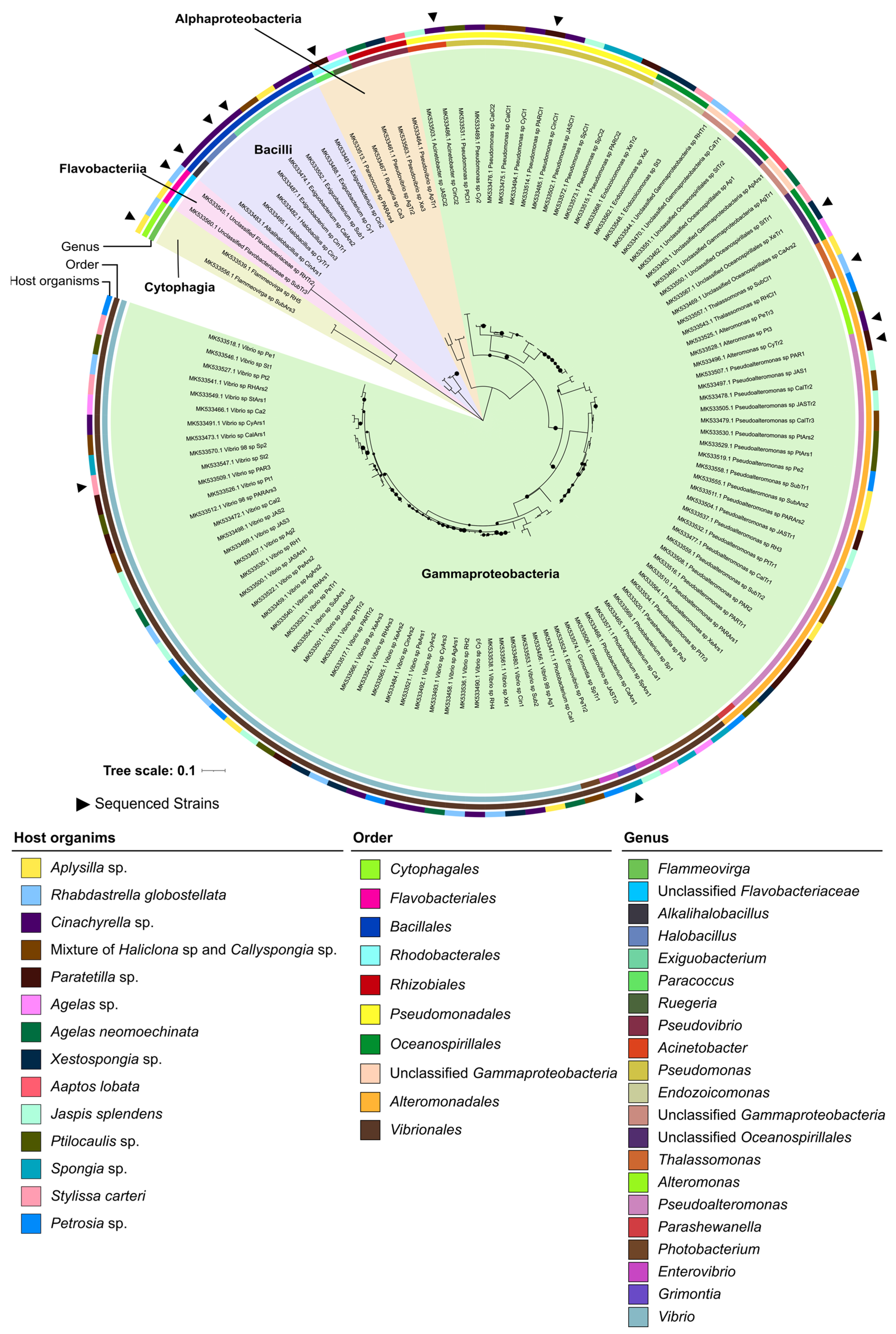 Marinedrugs 21 00034 g002