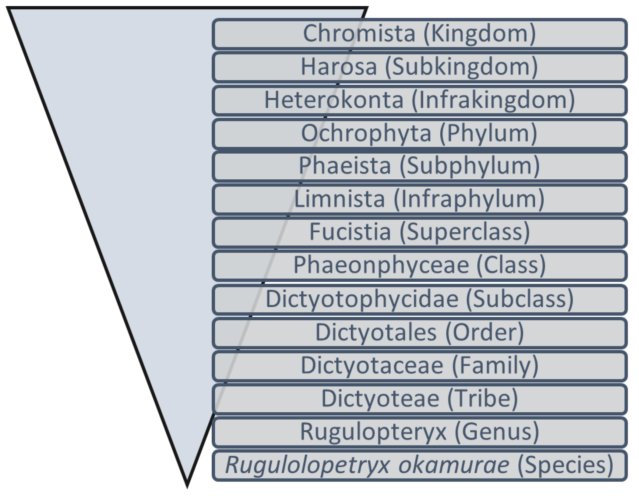Marinedrugs 21 00040 g001
