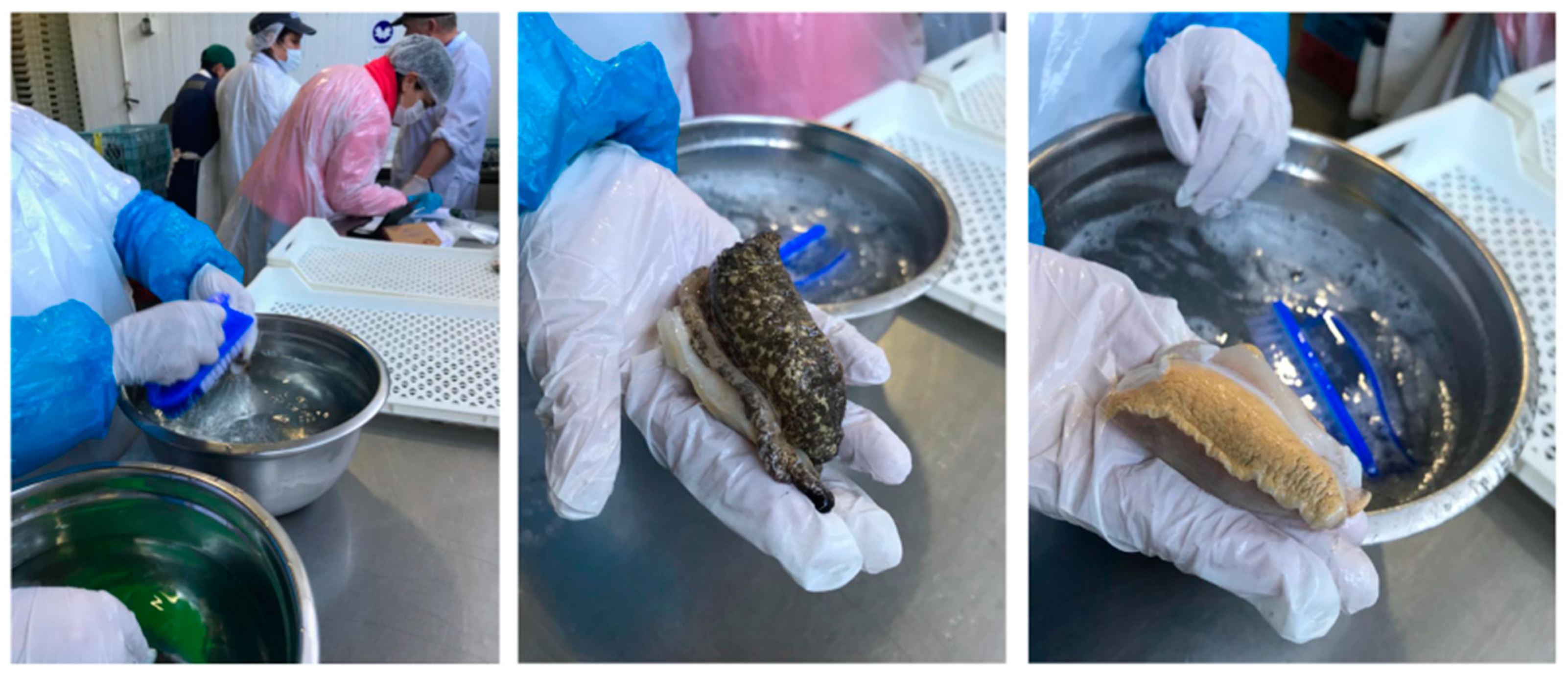 Marinedrugs 21 00044 g0a1