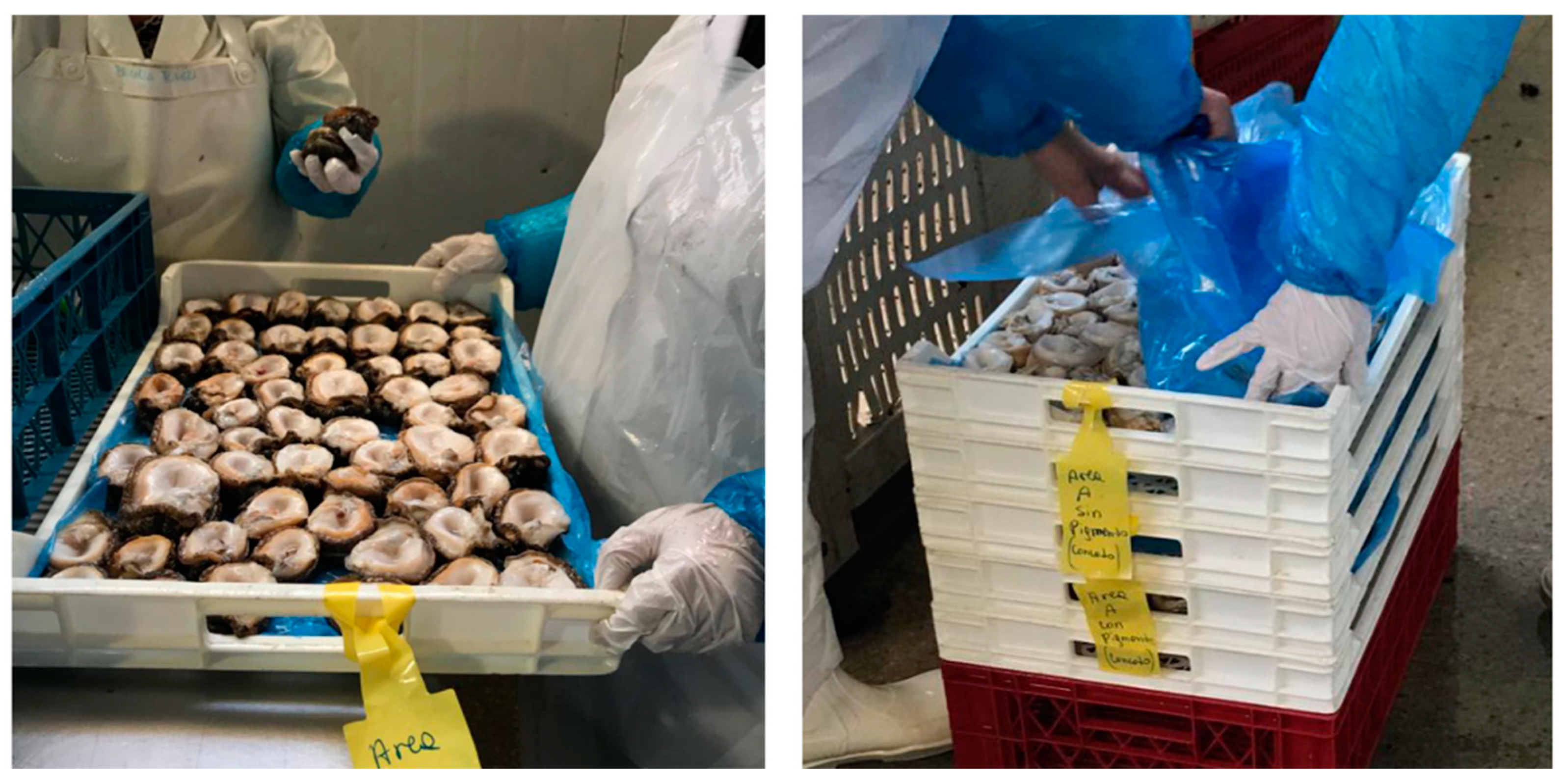 Marinedrugs 21 00044 g0a2