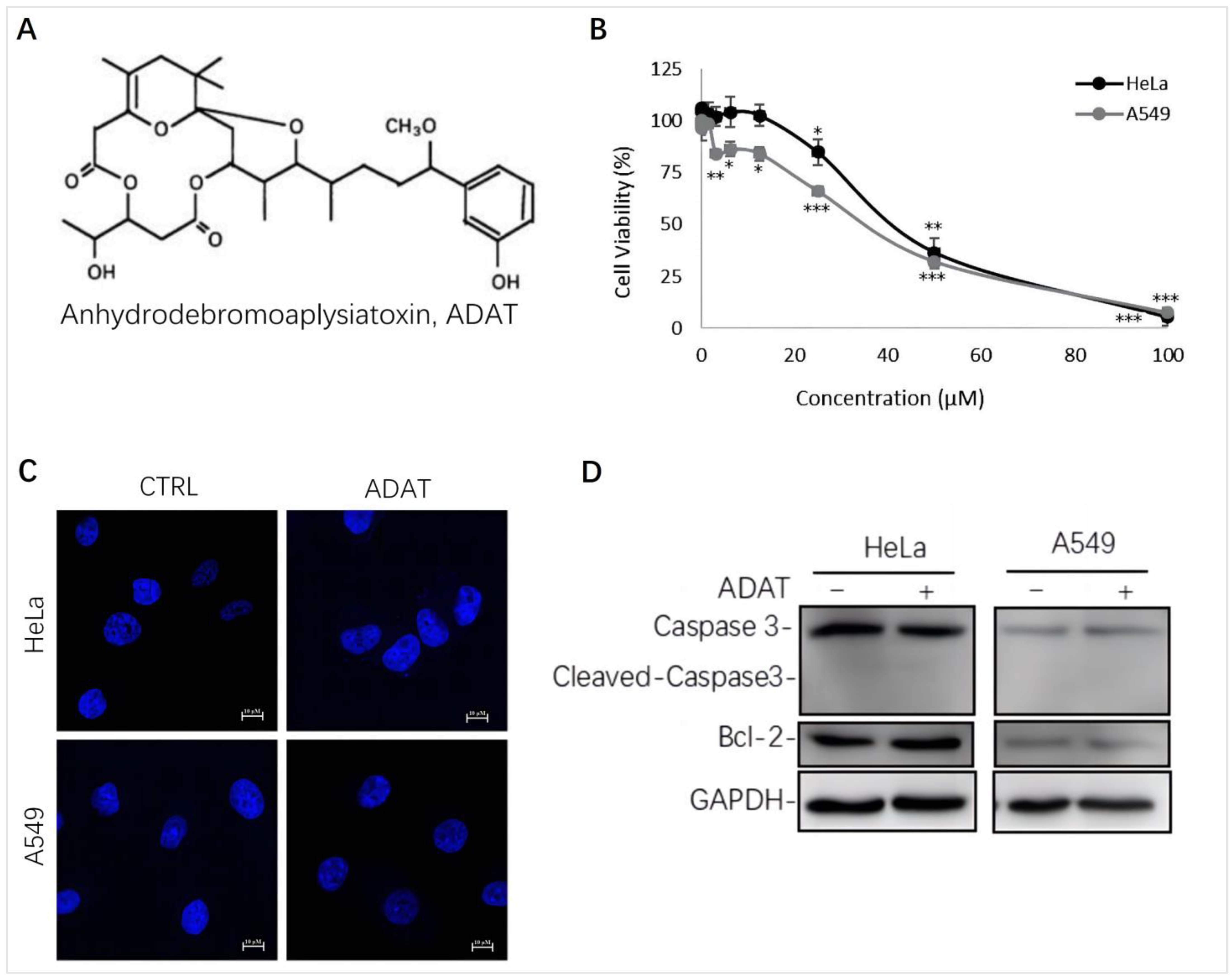 Marinedrugs 21 00046 g001 Marinedrugs 21 00046 g001