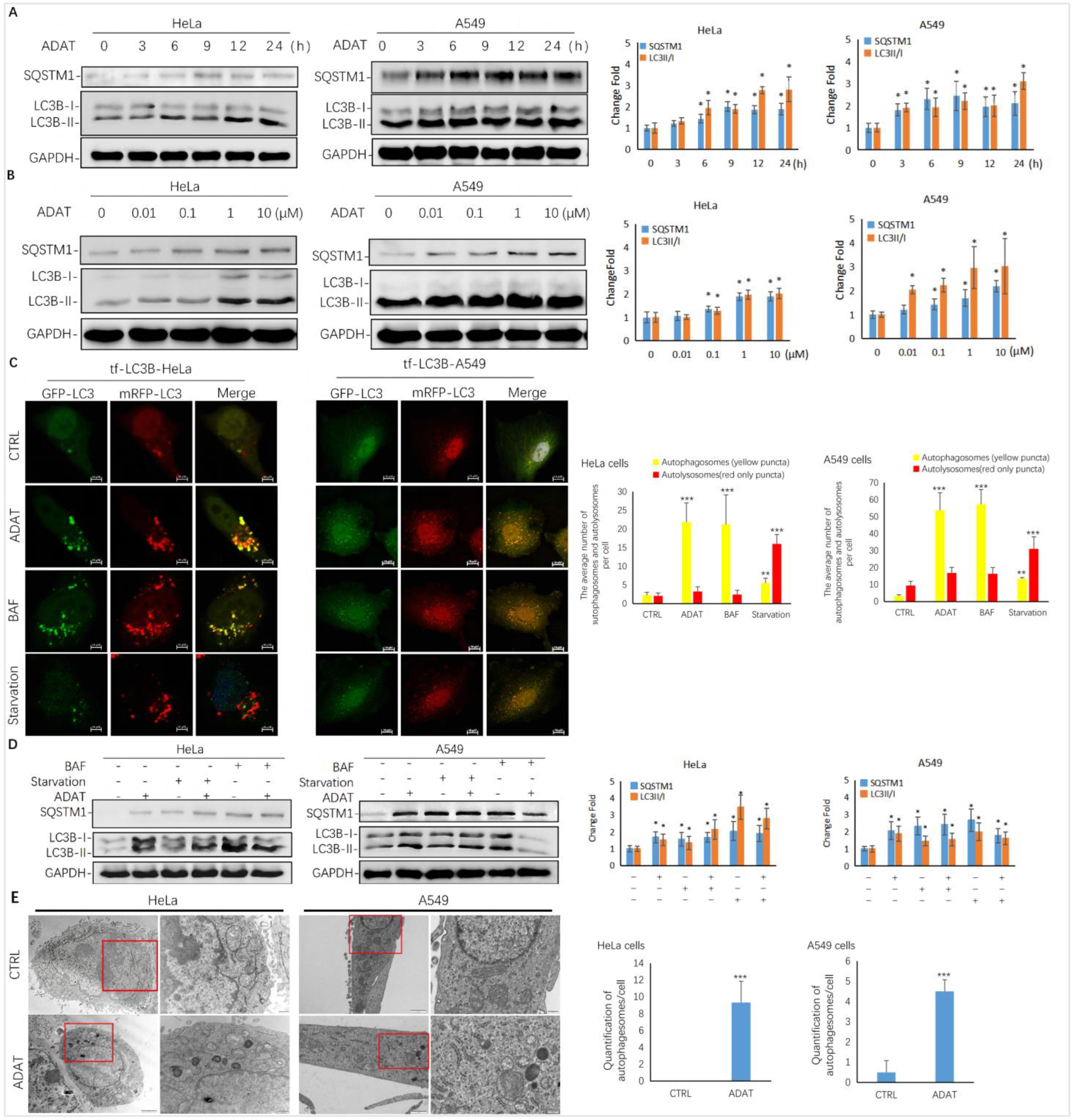 Marinedrugs 21 00046 g002 Marinedrugs 21 00046 g002