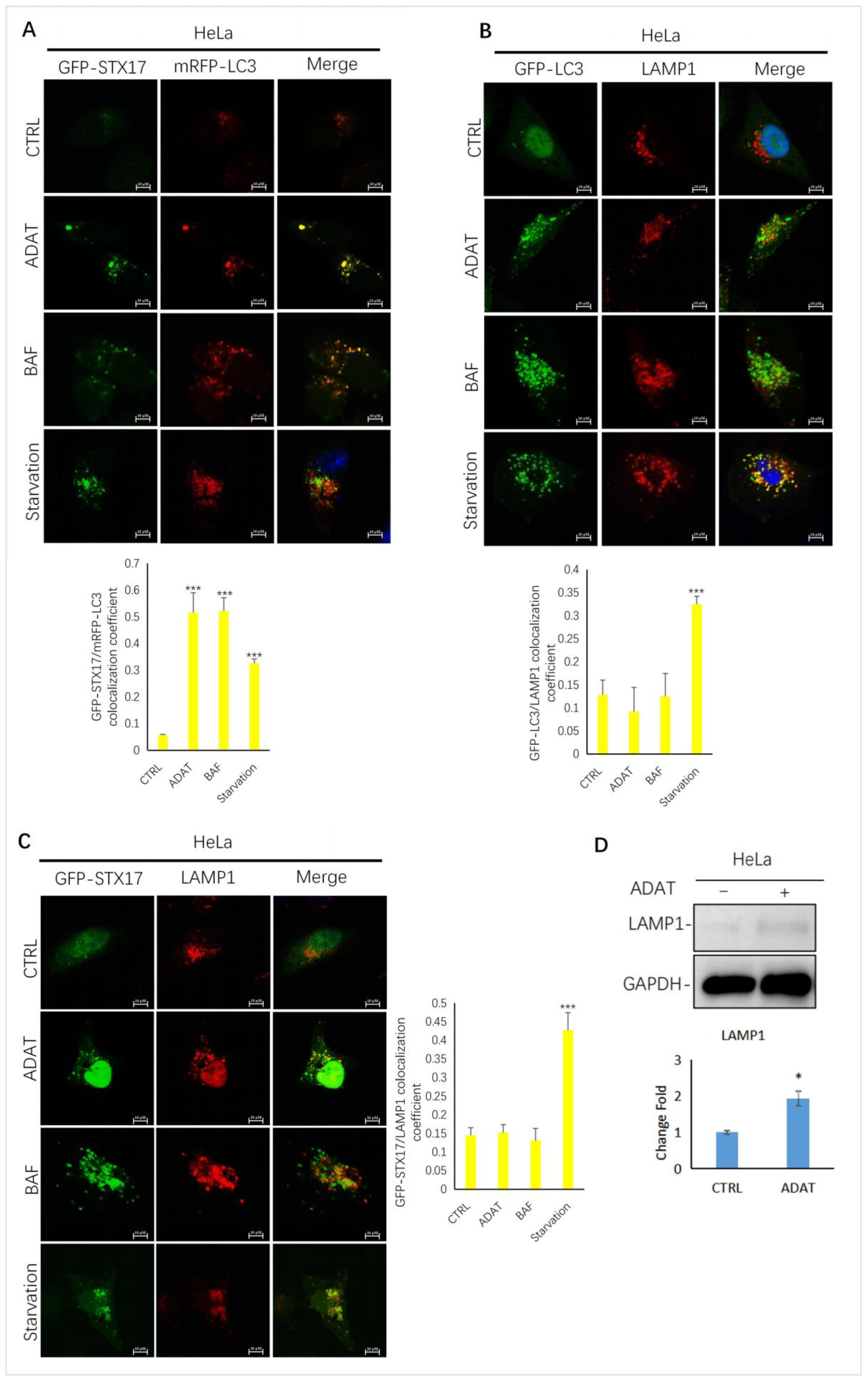 Marinedrugs 21 00046 g003 Marinedrugs 21 00046 g003