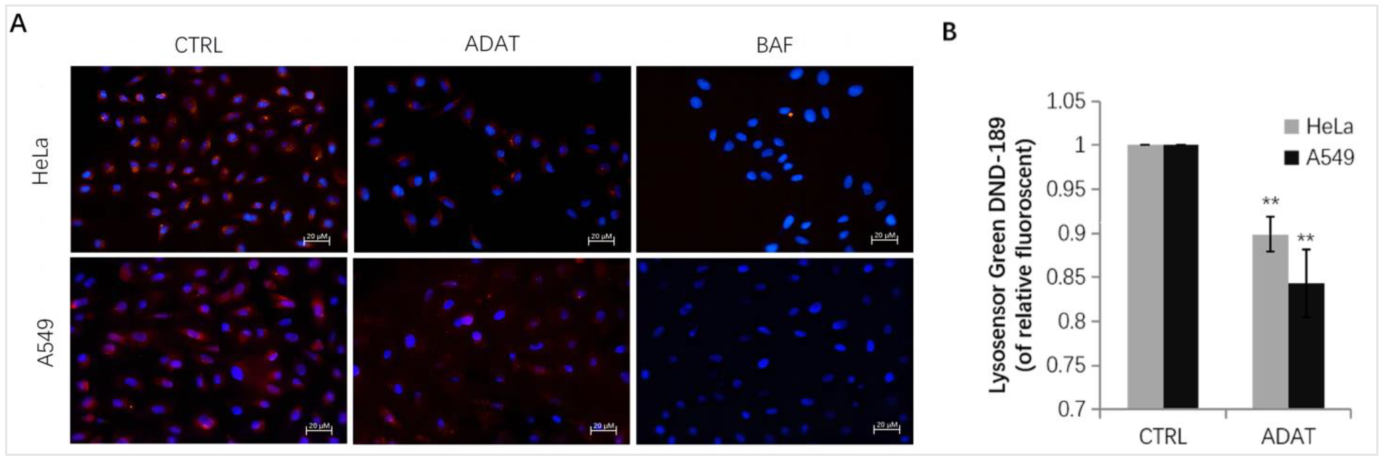 Marinedrugs 21 00046 g004 Marinedrugs 21 00046 g004