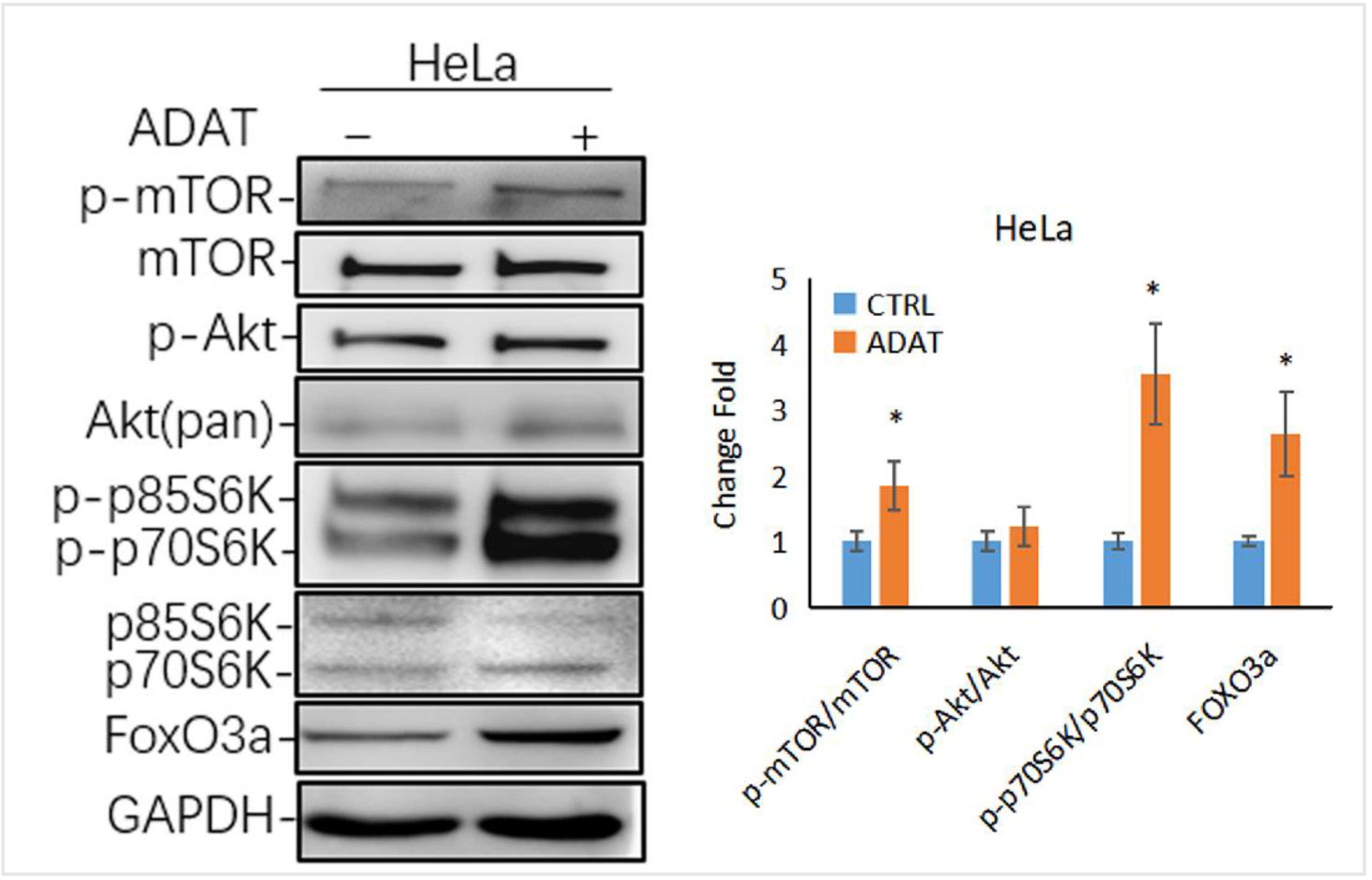 Marinedrugs 21 00046 g005 Marinedrugs 21 00046 g005