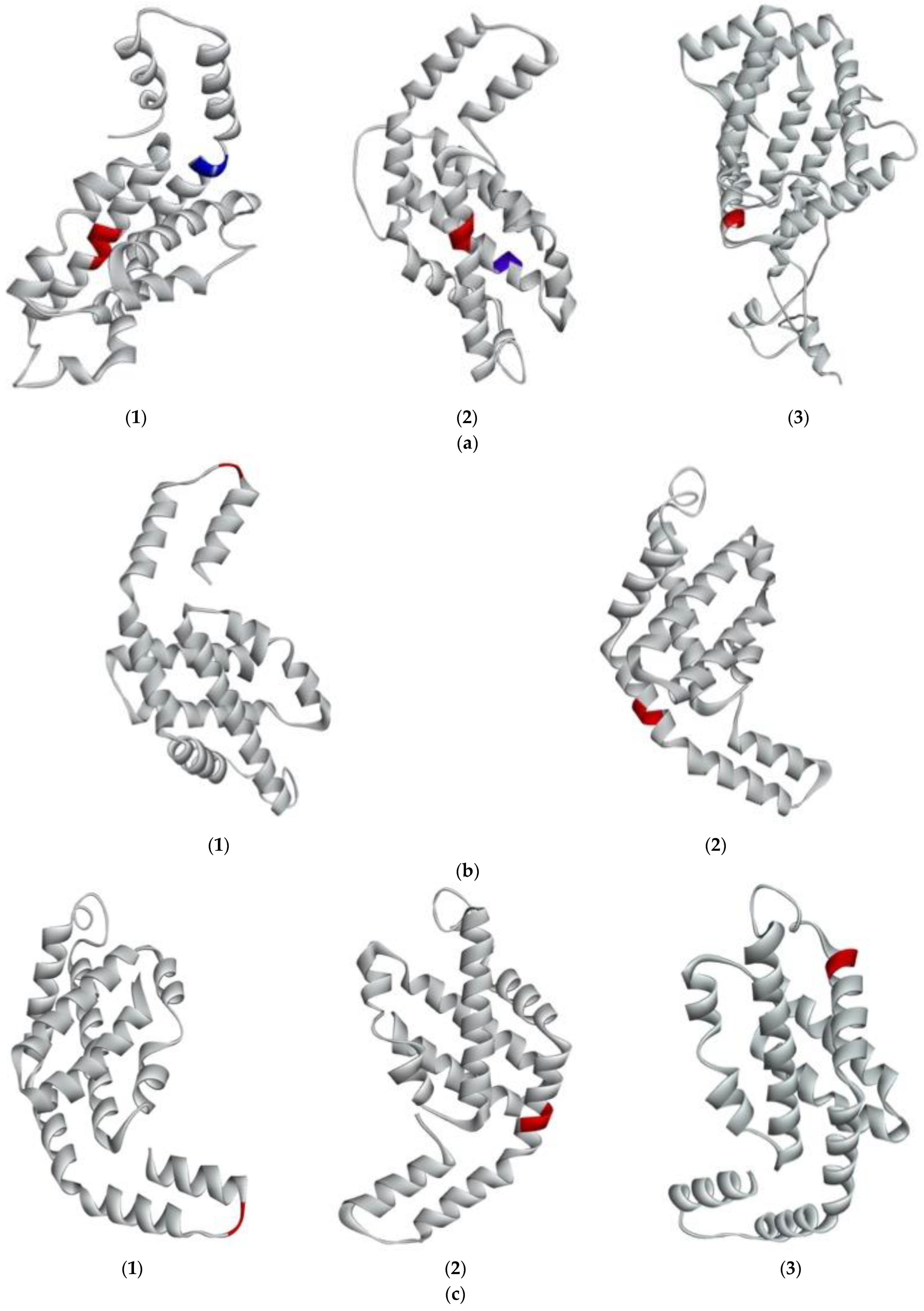 Marinedrugs 21 00049 g004a Marinedrugs 21 00049 g004a