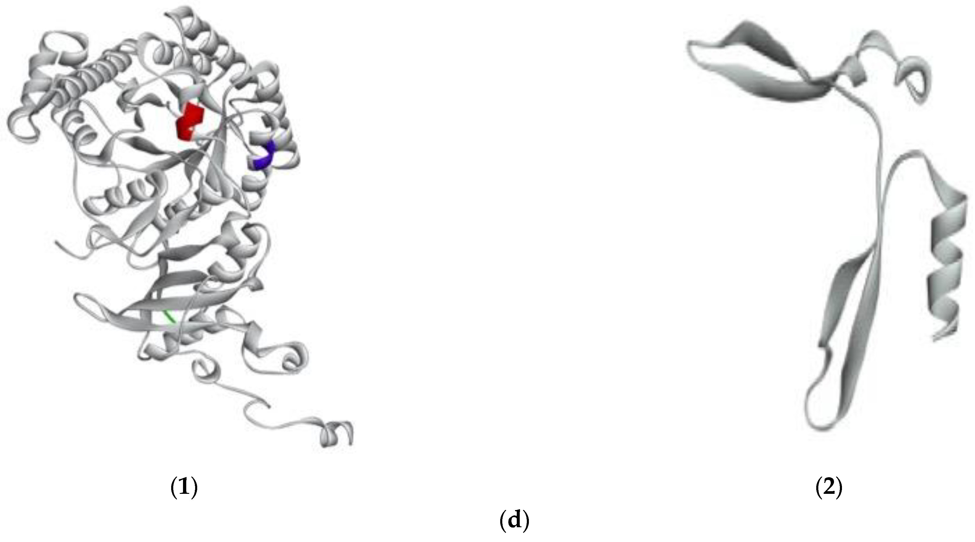 Marinedrugs 21 00049 g004b Marinedrugs 21 00049 g004b