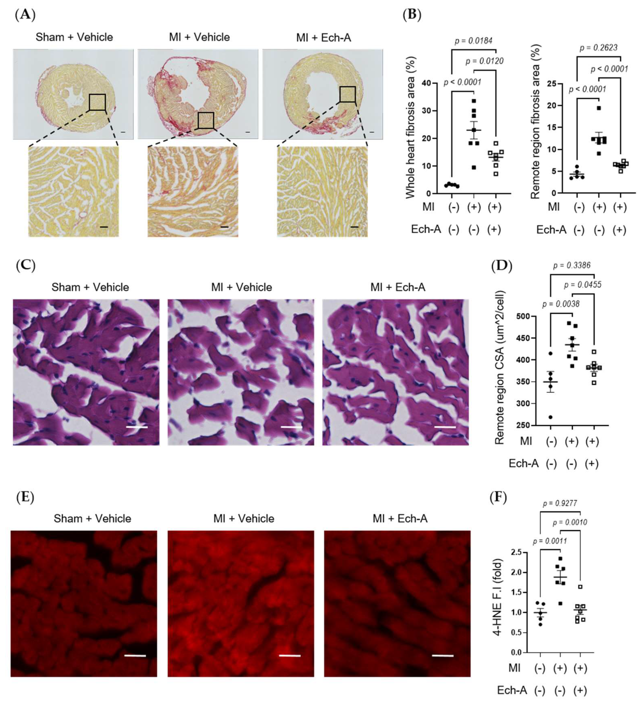 Marinedrugs 21 00052 g002 Marinedrugs 21 00052 g002