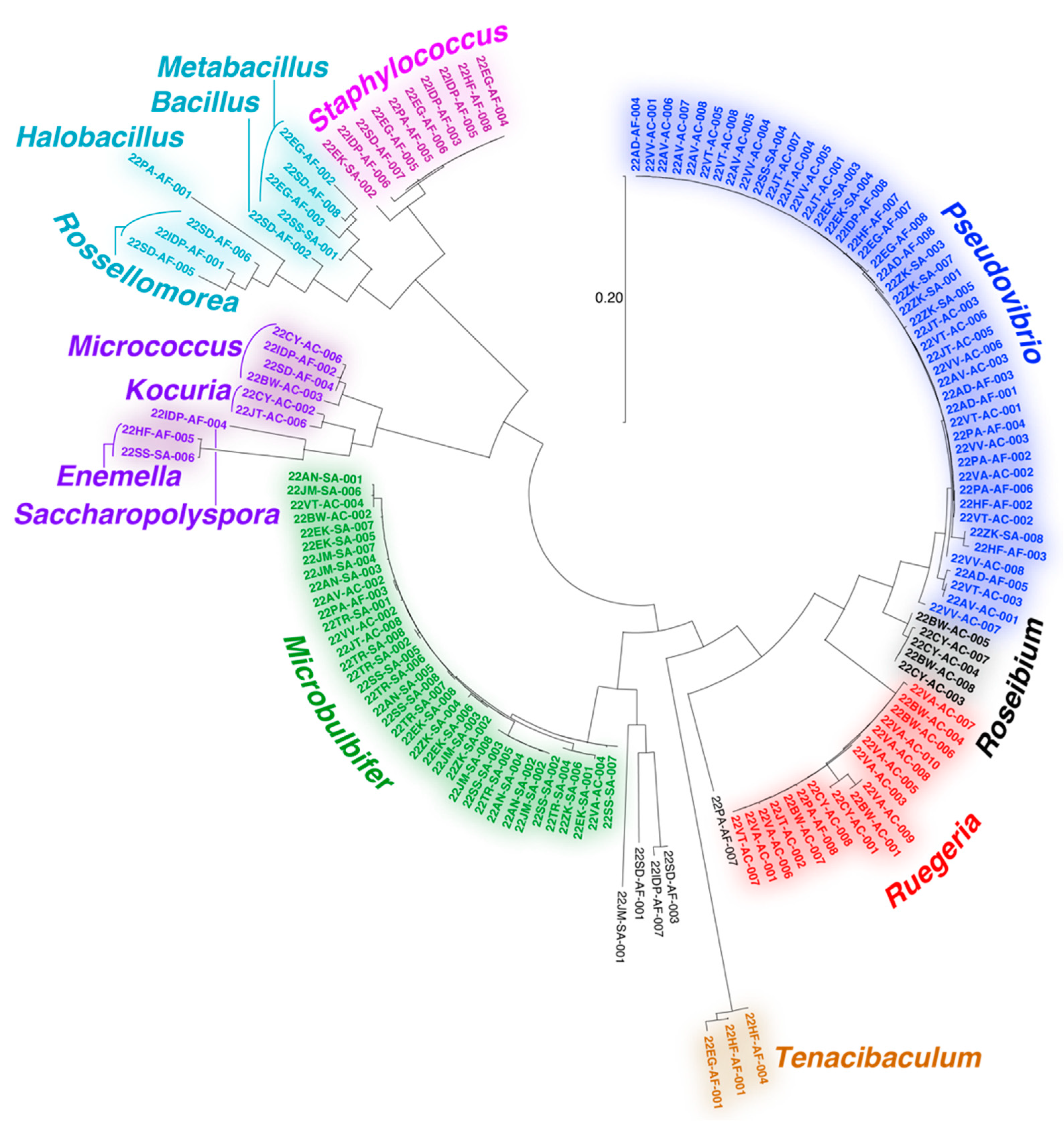 Marinedrugs 21 00053 g002