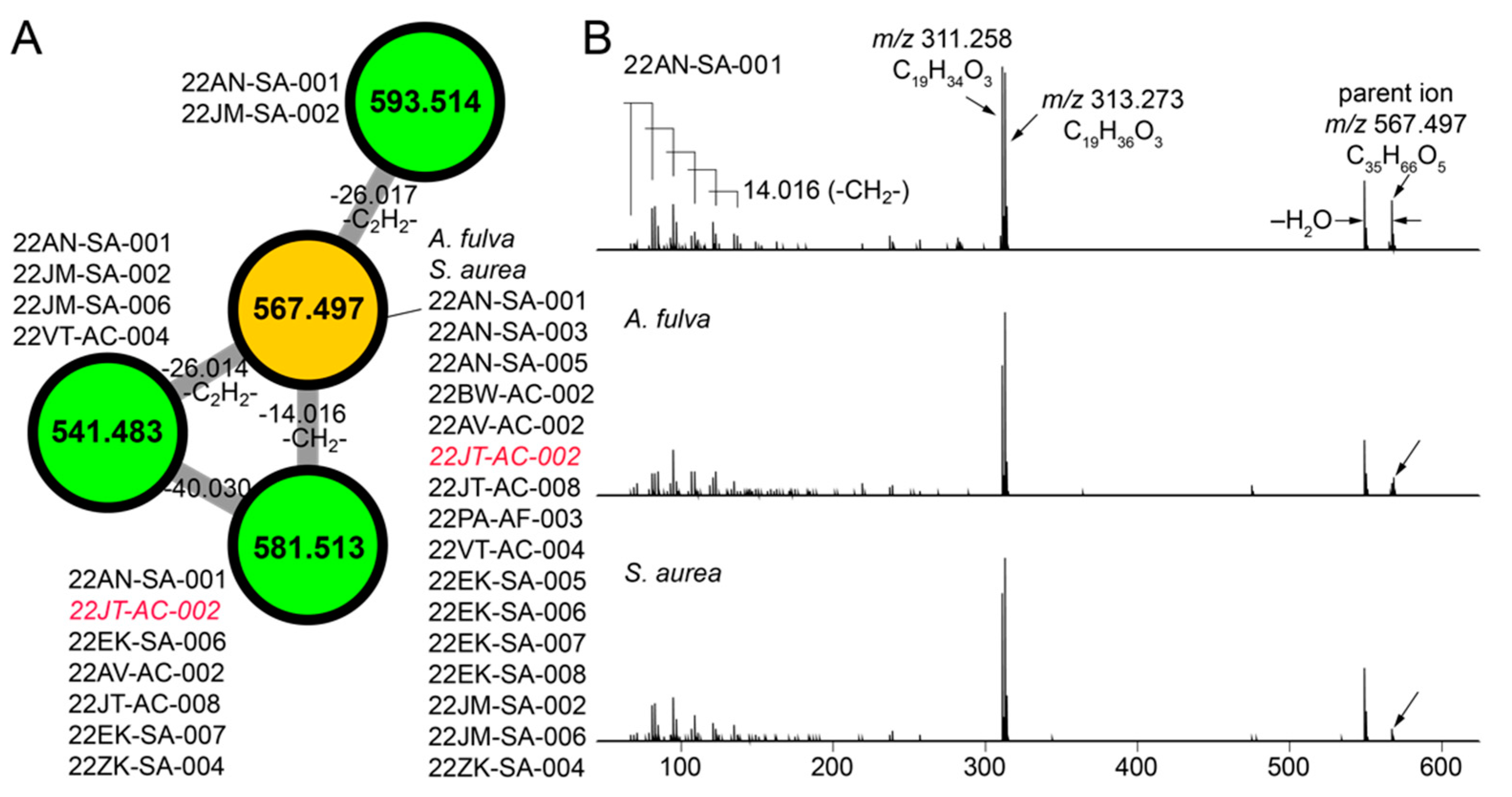 Marinedrugs 21 00053 g004