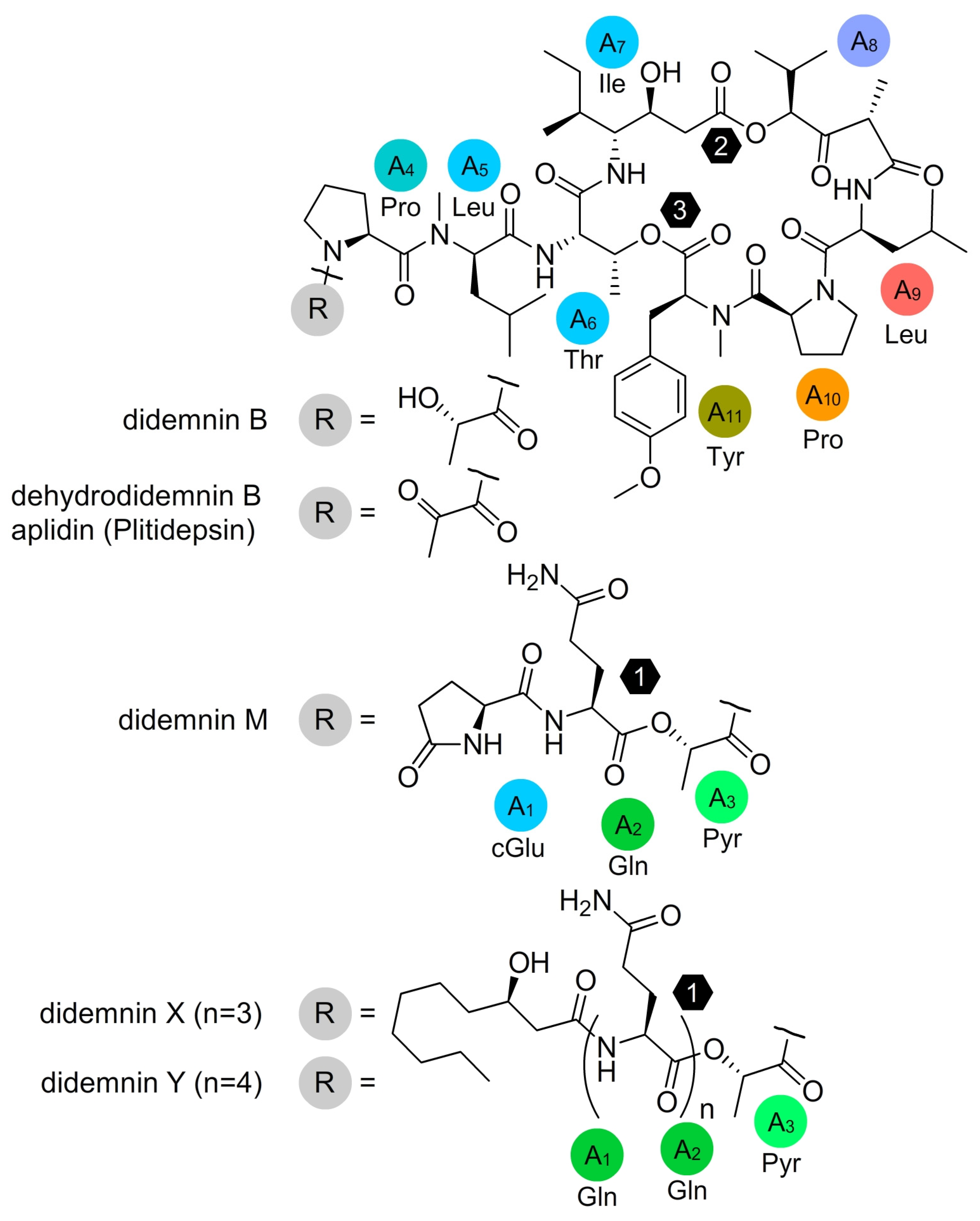 Marinedrugs 21 00056 g001 Marinedrugs 21 00056 g001