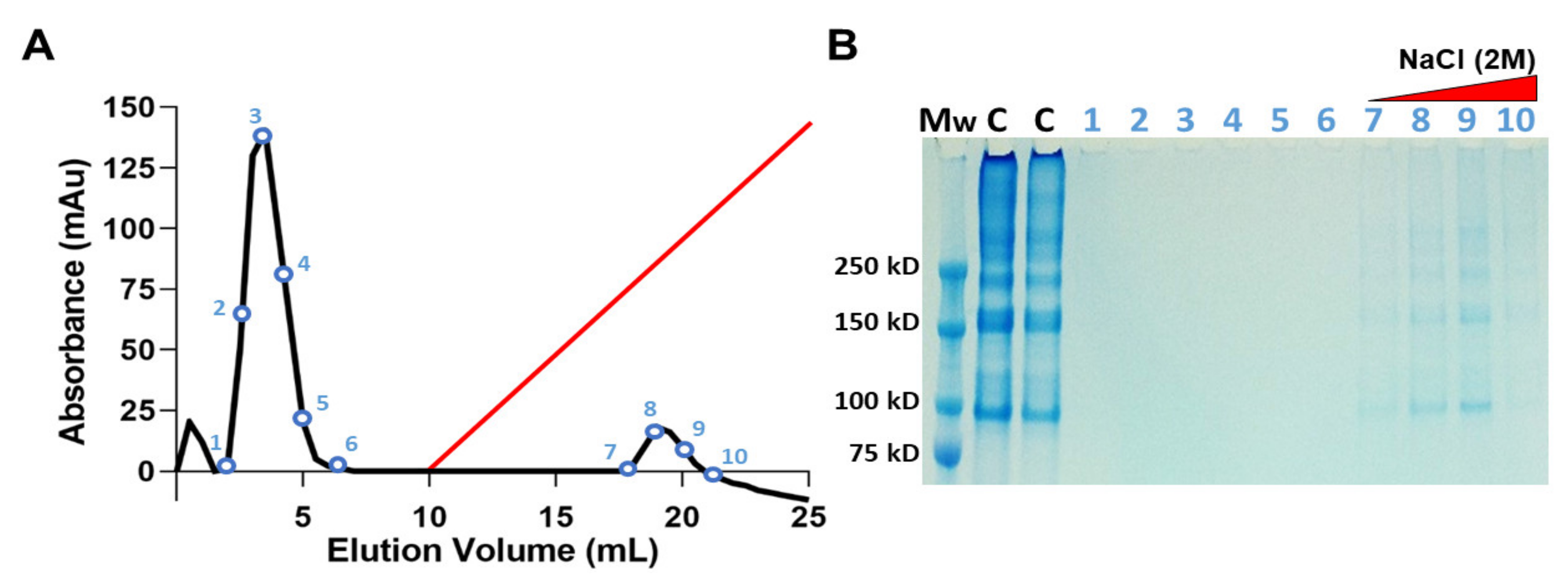 Marinedrugs 21 00059 g003